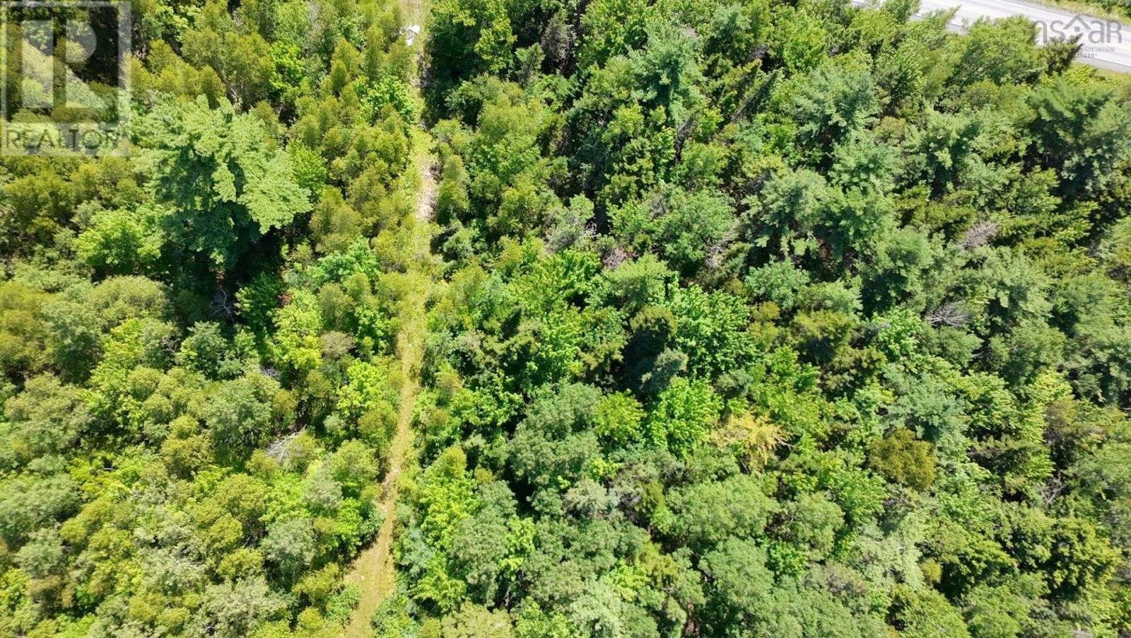 Little Harbour Road, Frasers Mountain, Nova Scotia  B2H 3S9 - Photo 9 - 202503385