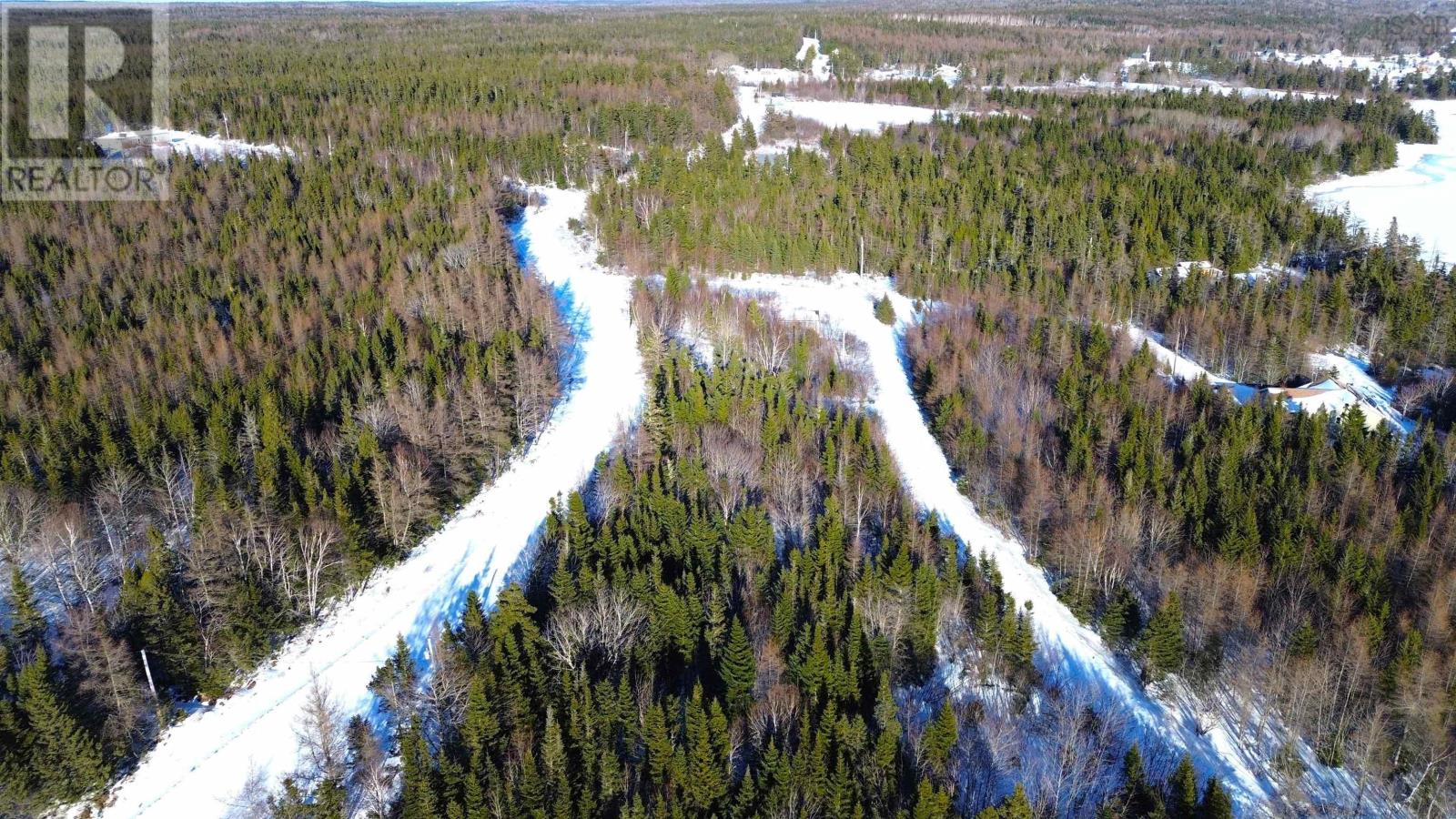 Walkerville Road, Walkerville, Nova Scotia  B0E 1J0 - Photo 11 - 202503489