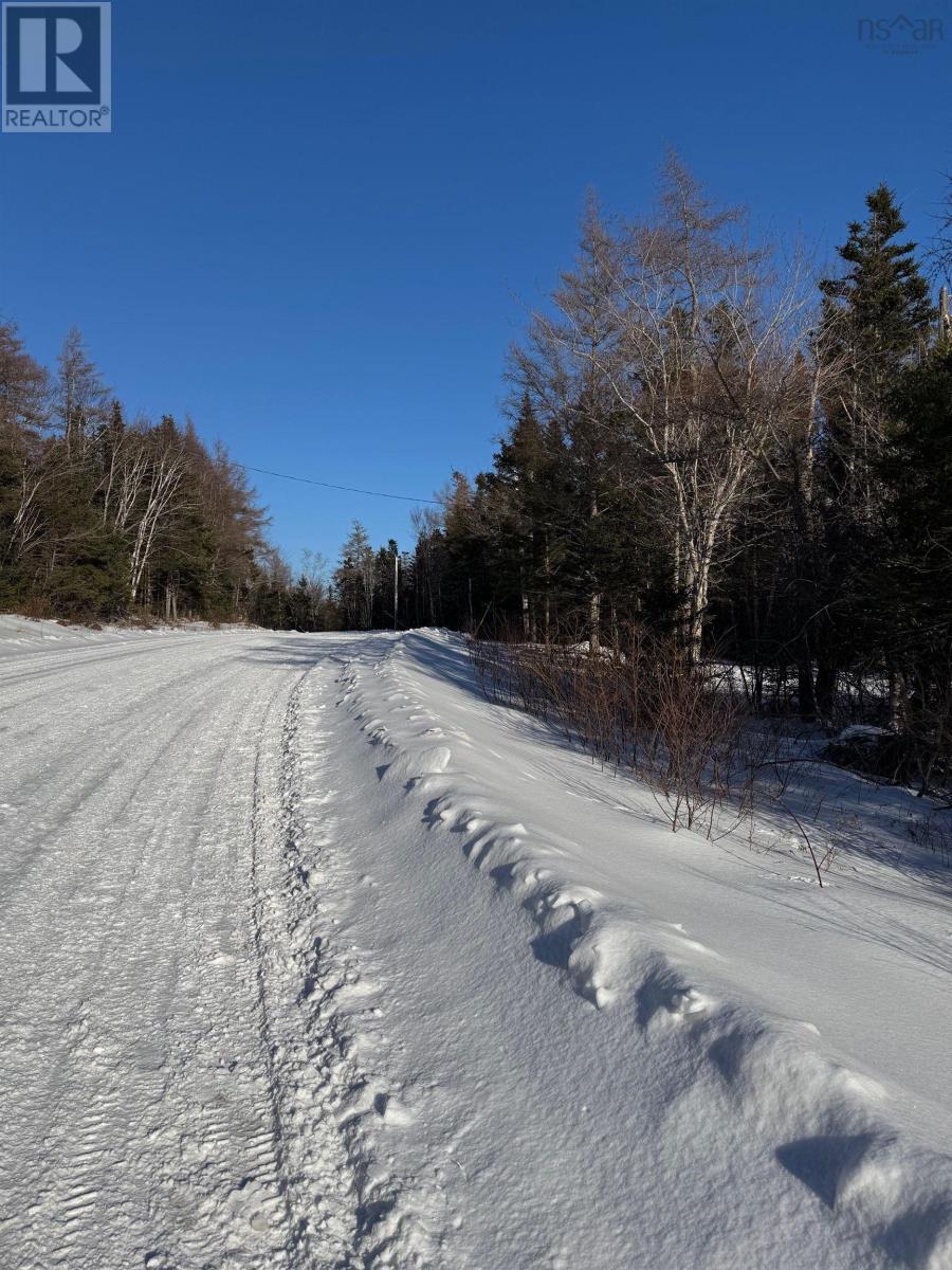 Walkerville Road, Walkerville, Nova Scotia  B0E 1J0 - Photo 14 - 202503489