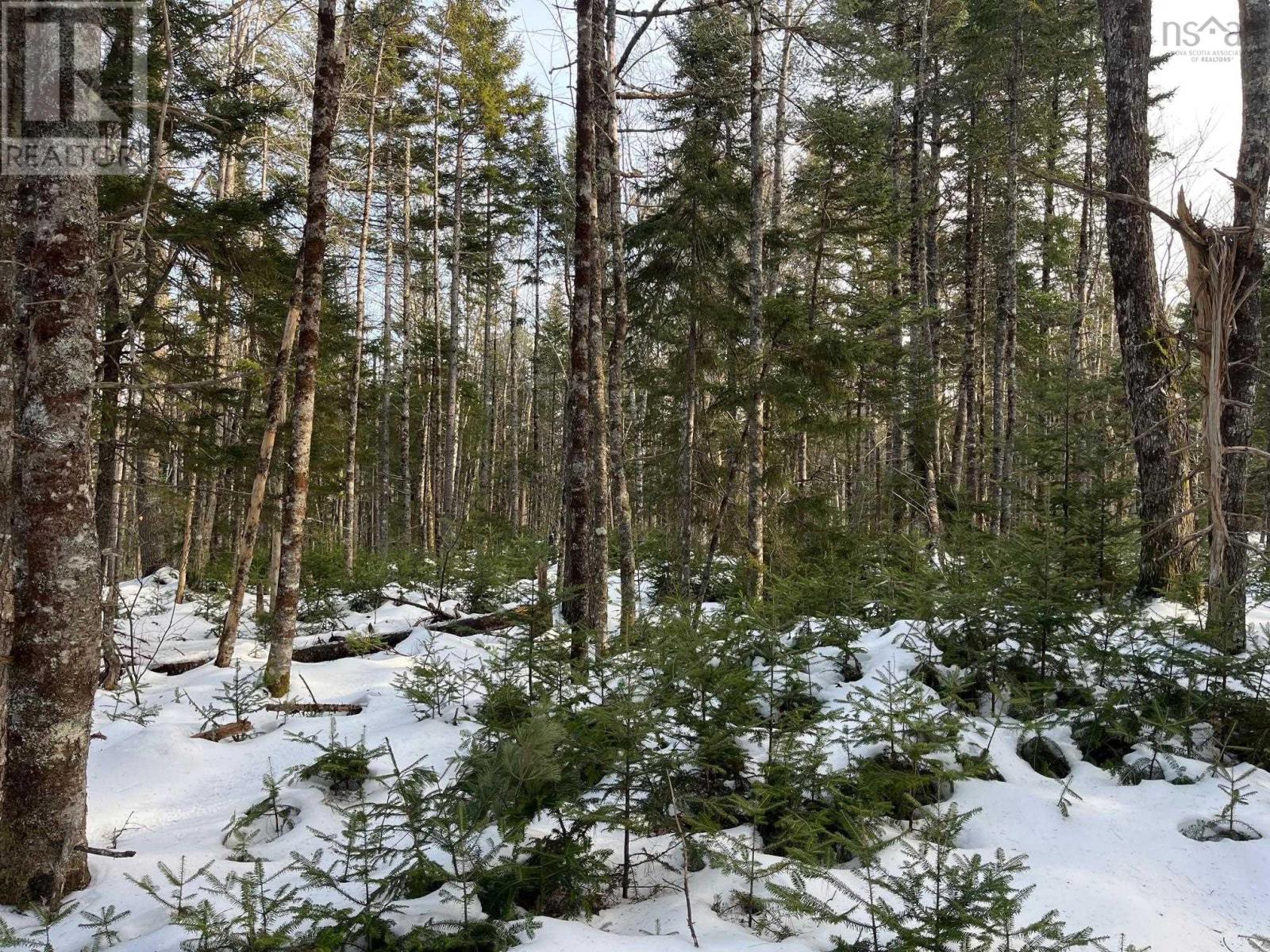 Lot 1000-3 Conquerall Road, conquerall bank, Nova Scotia