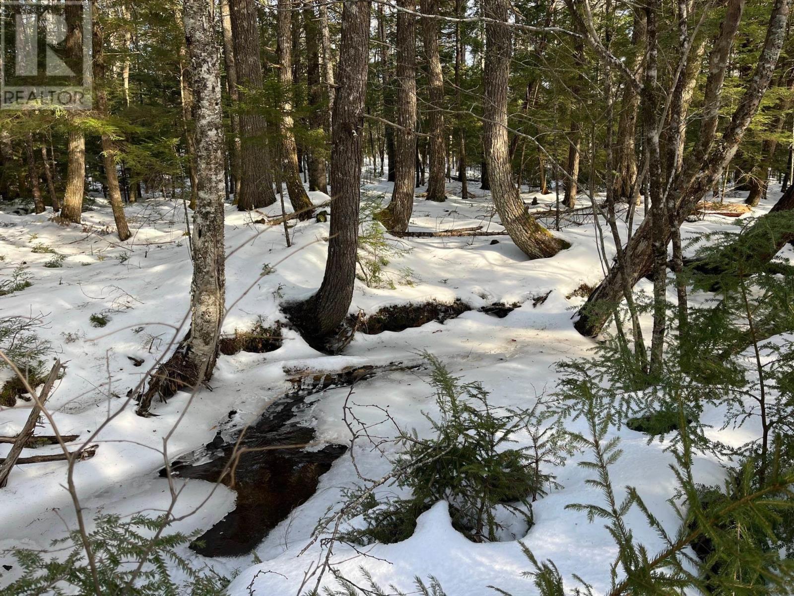 Lot 1000-3 Conquerall Road, Conquerall Bank, Nova Scotia  B0R 1G0 - Photo 10 - 202503633