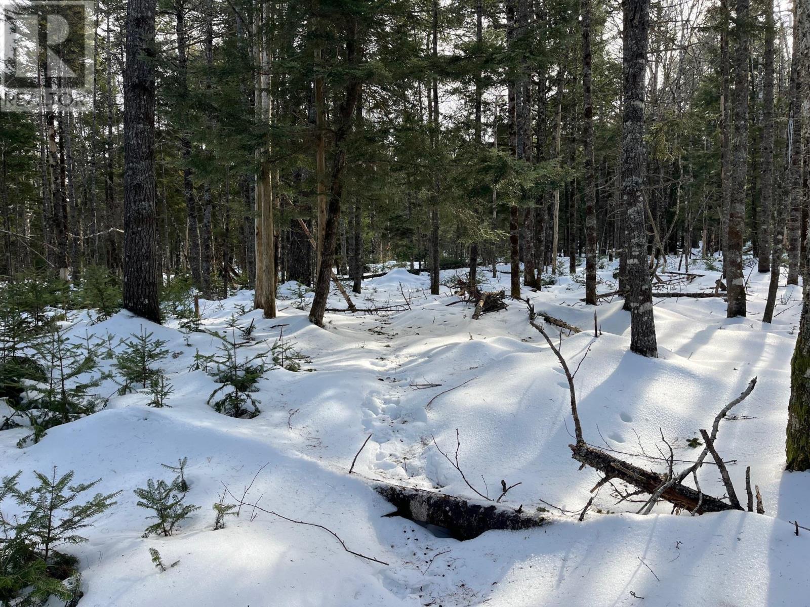 Lot 1000-3 Conquerall Road, Conquerall Bank, Nova Scotia  B0R 1G0 - Photo 12 - 202503633