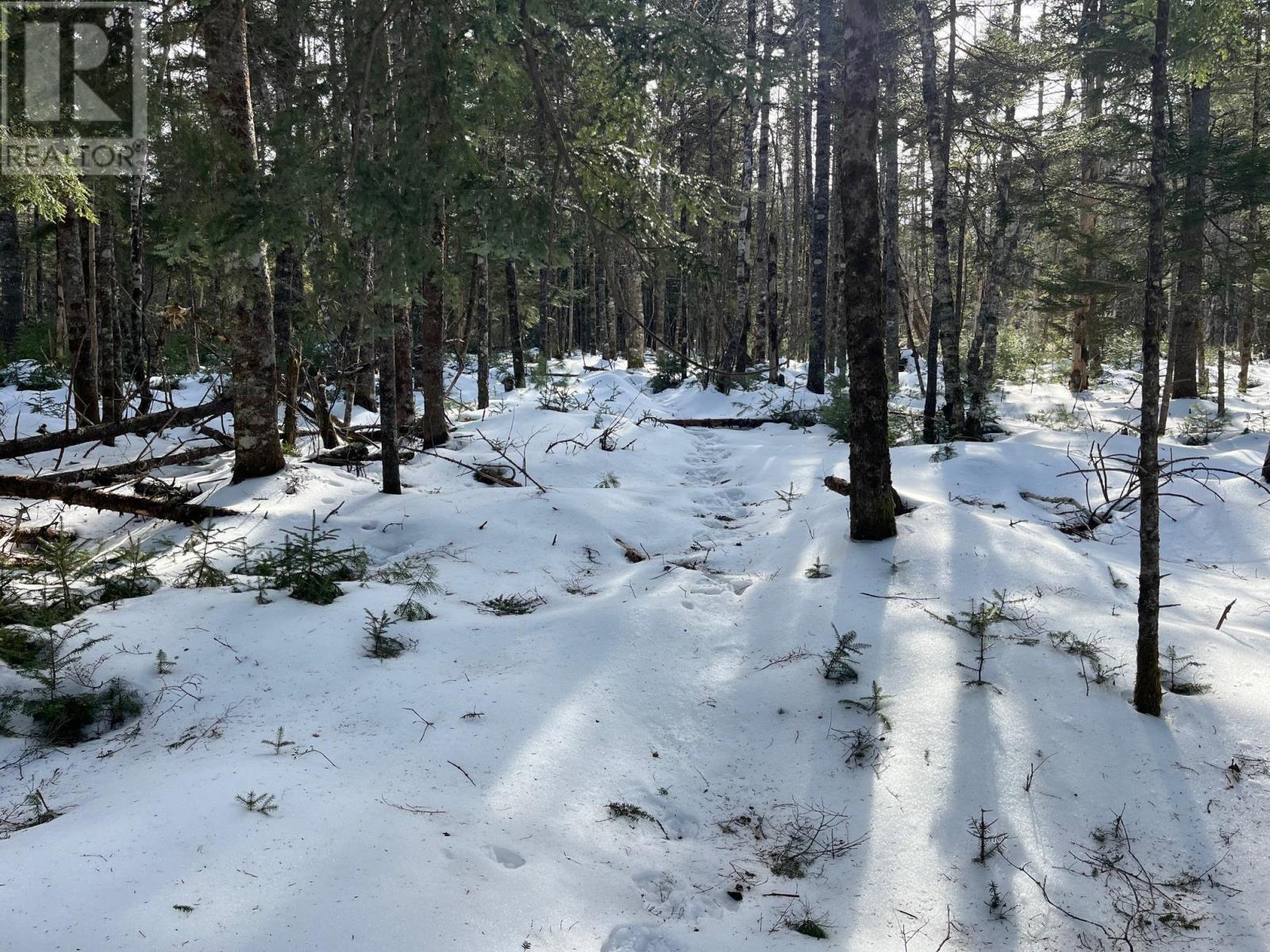 Lot 1000-3 Conquerall Road, Conquerall Bank, Nova Scotia  B0R 1G0 - Photo 2 - 202503633