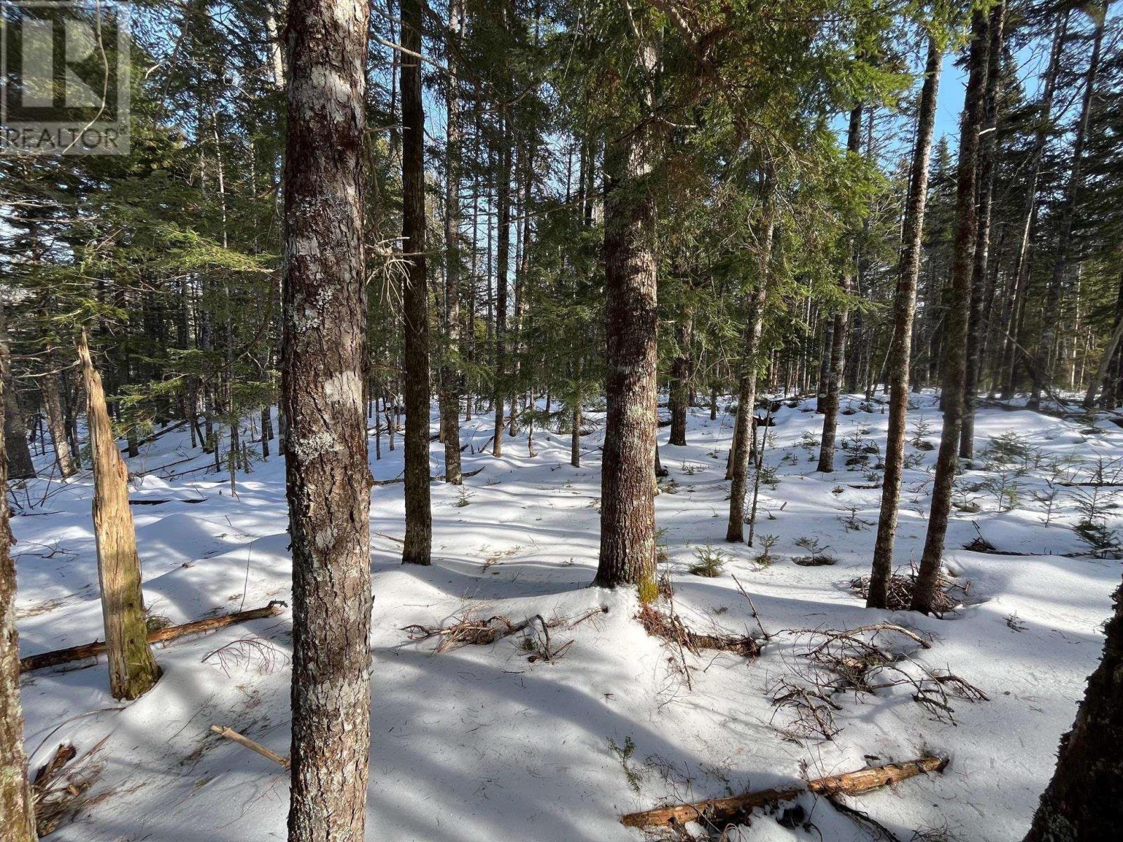 Lot 1000-3 Conquerall Road, Conquerall Bank, Nova Scotia  B0R 1G0 - Photo 3 - 202503633