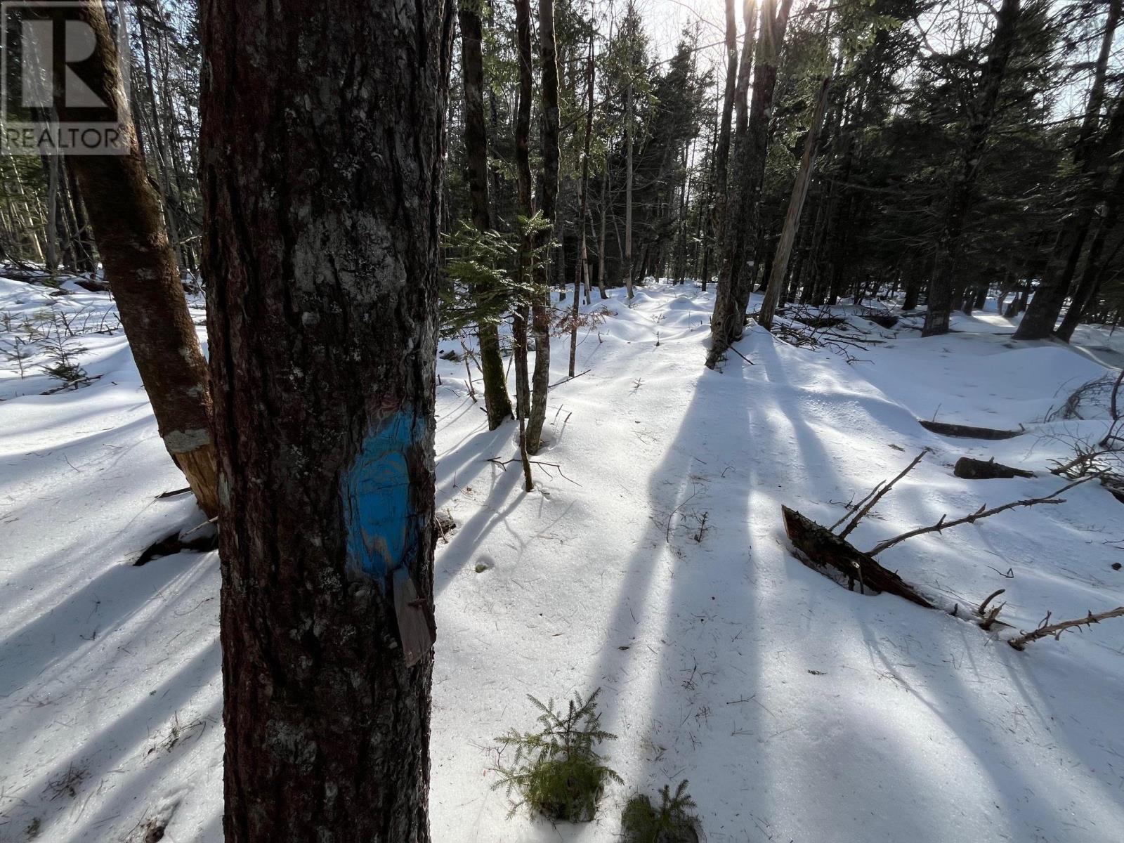 Lot 1000-3 Conquerall Road, Conquerall Bank, Nova Scotia  B0R 1G0 - Photo 4 - 202503633