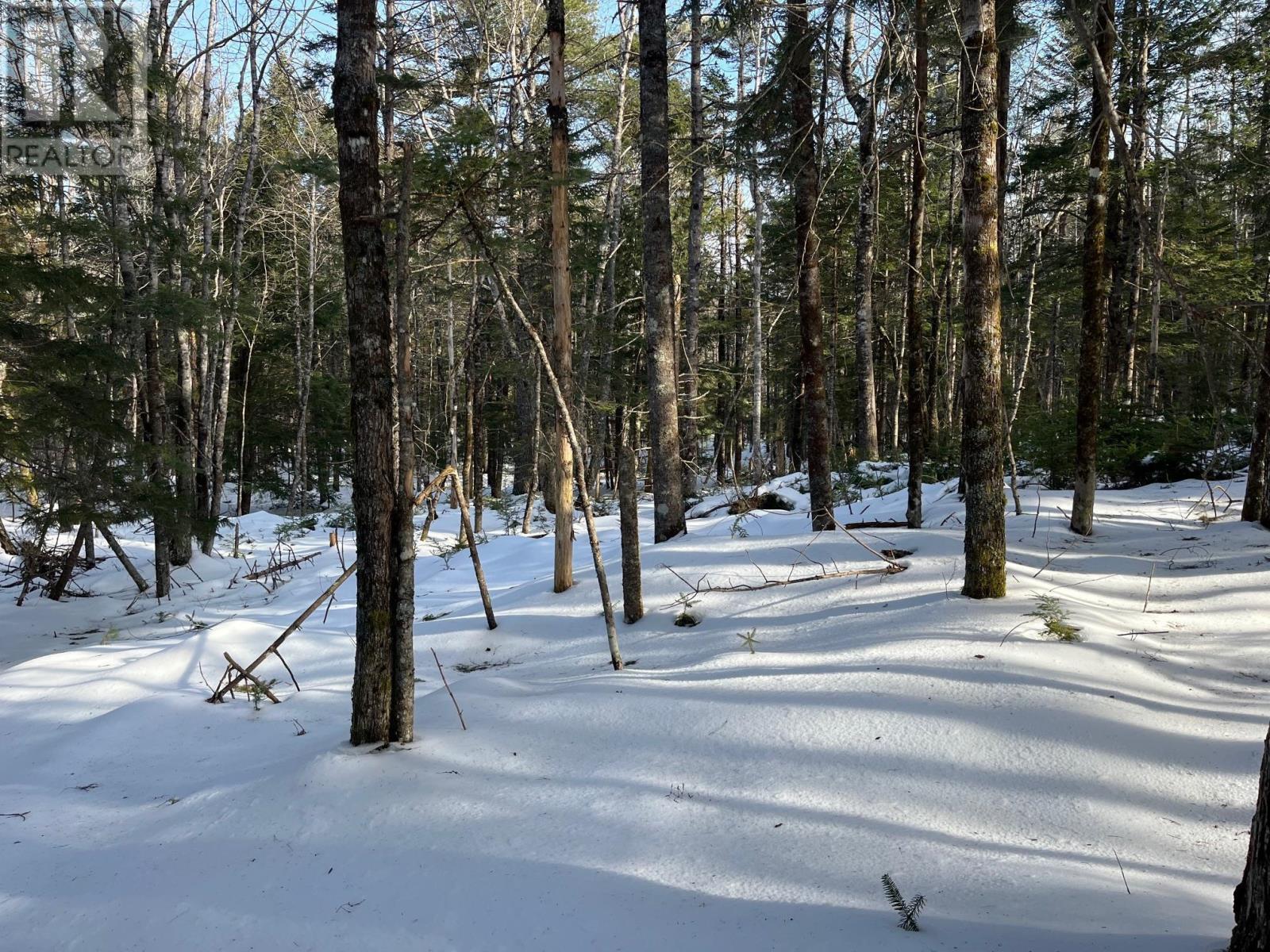 Lot 1000-3 Conquerall Road, Conquerall Bank, Nova Scotia  B0R 1G0 - Photo 7 - 202503633