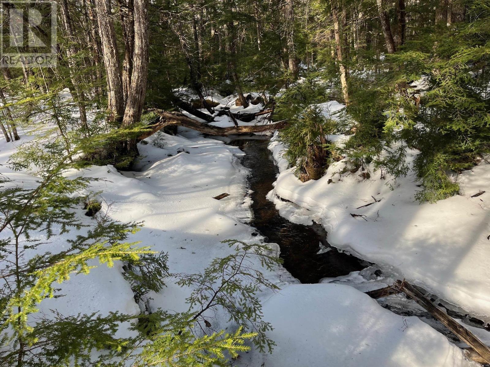 Lot 1000-3 Conquerall Road, Conquerall Bank, Nova Scotia  B0R 1G0 - Photo 8 - 202503633