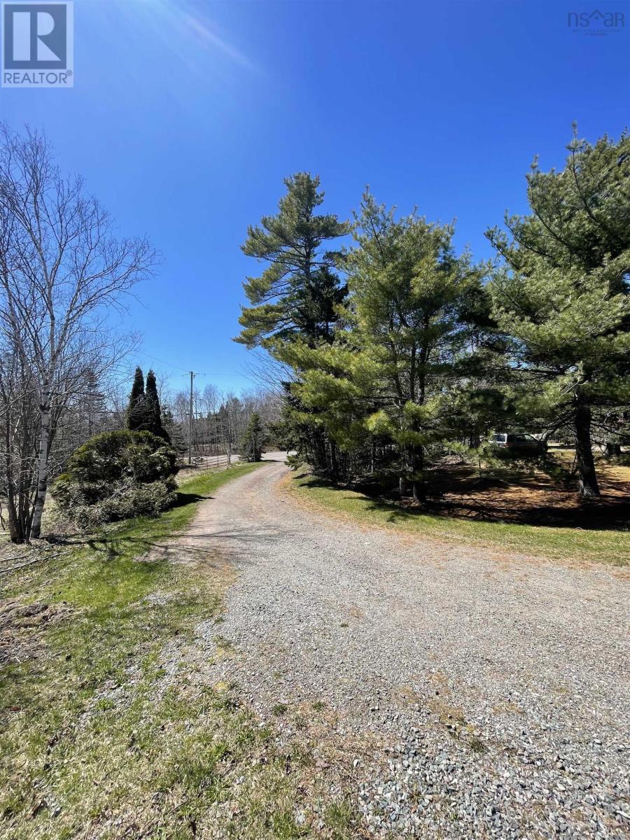 492 Crandall Road, Port Hawkesbury, Nova Scotia  B9A 1W9 - Photo 2 - 202503655