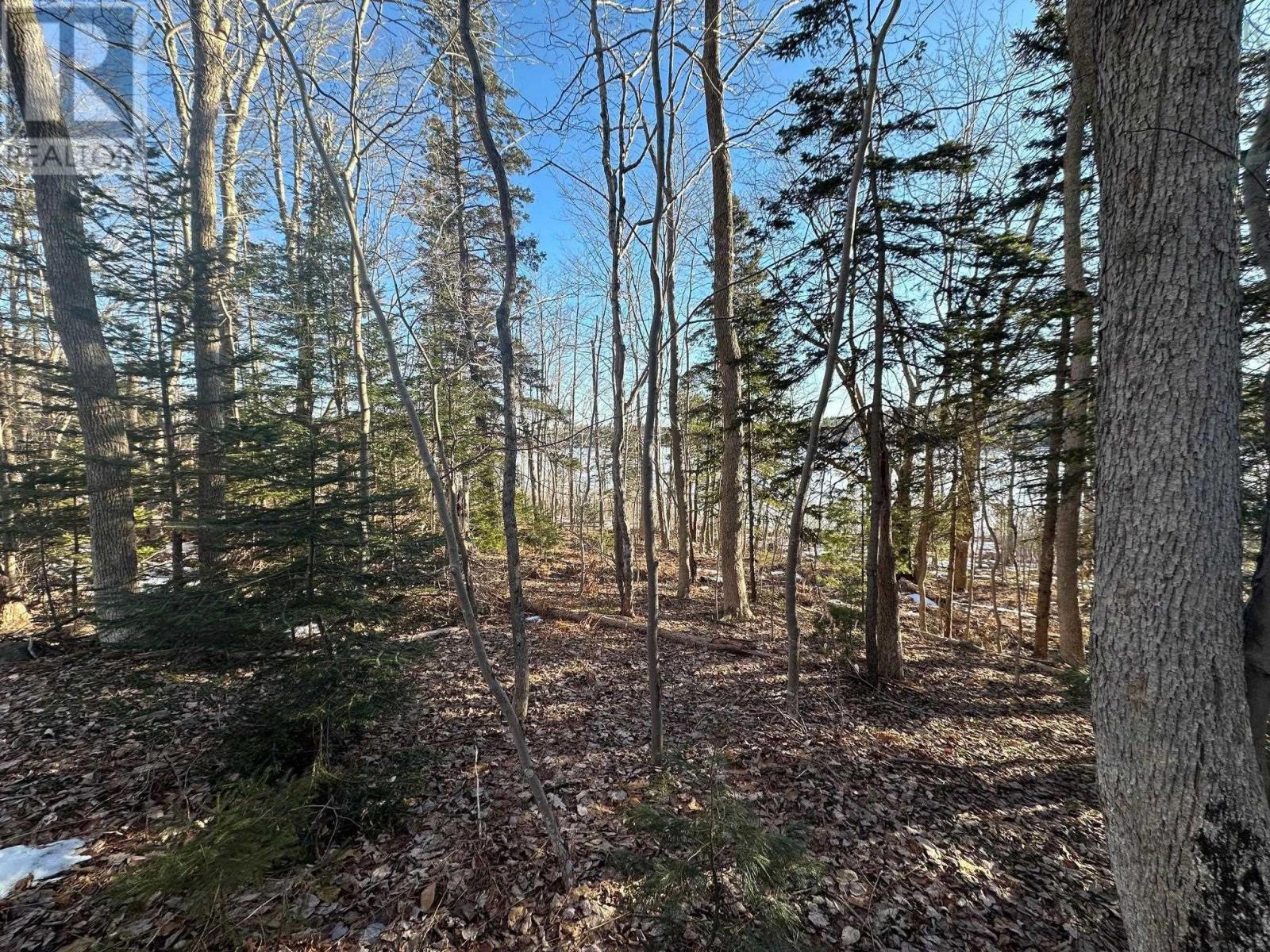 (Unit 1) 130 Everlina Lane, Windsor Junction, Nova Scotia  B2T 0T3 - Photo 13 - 202504041