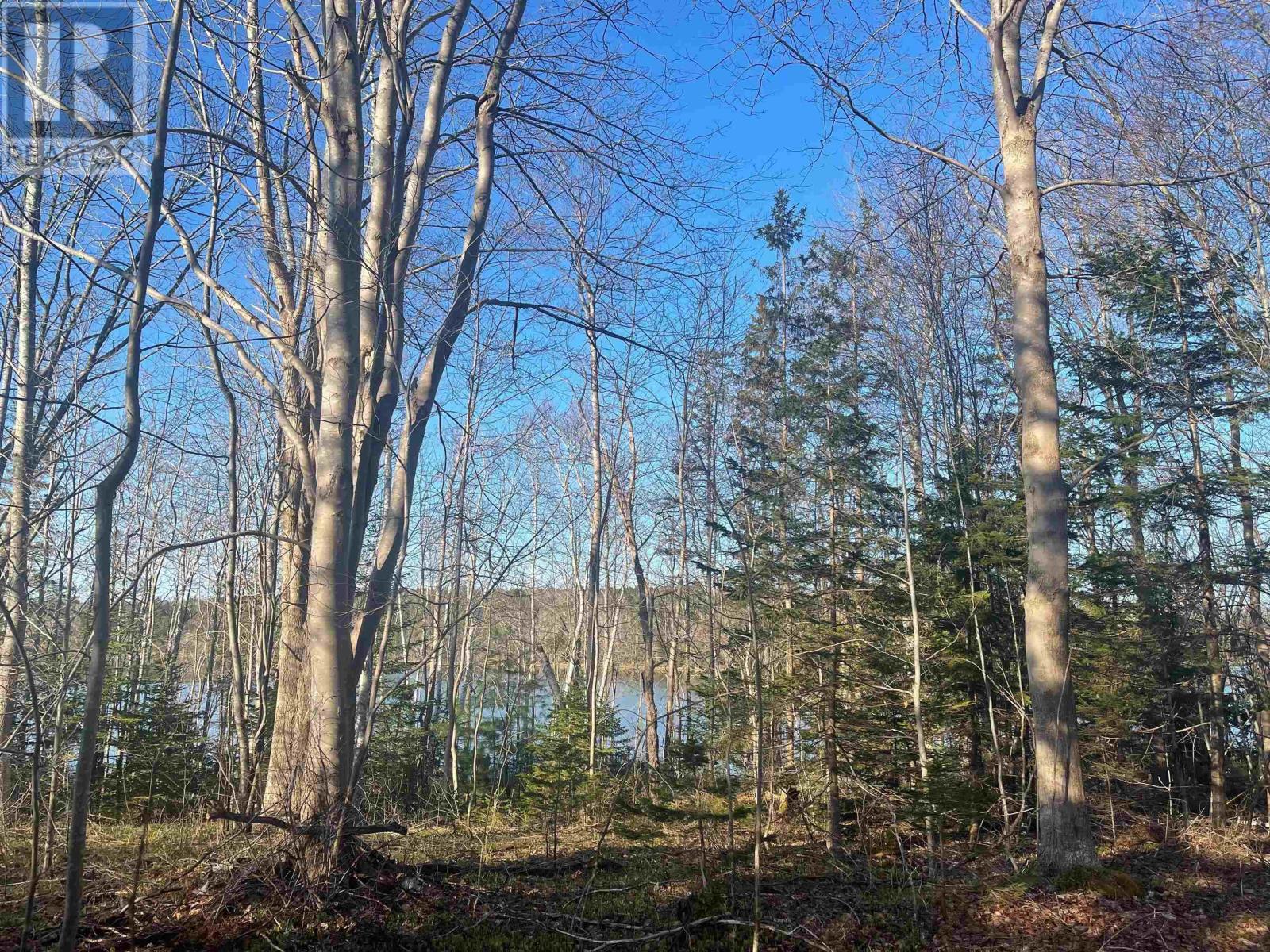 (Unit 1) 130 Everlina Lane, Windsor Junction, Nova Scotia  B2T 0T3 - Photo 7 - 202504041