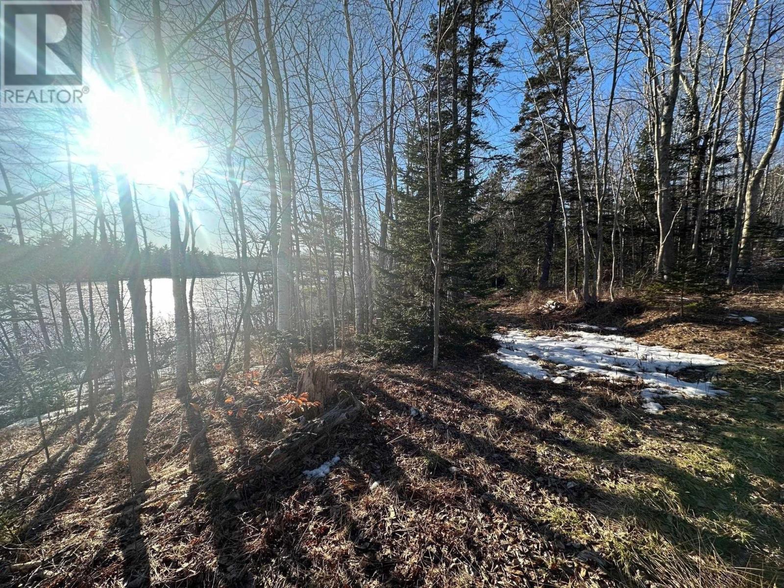 (Unit 1) 130 Everlina Lane, Windsor Junction, Nova Scotia  B2T 0T3 - Photo 8 - 202504041