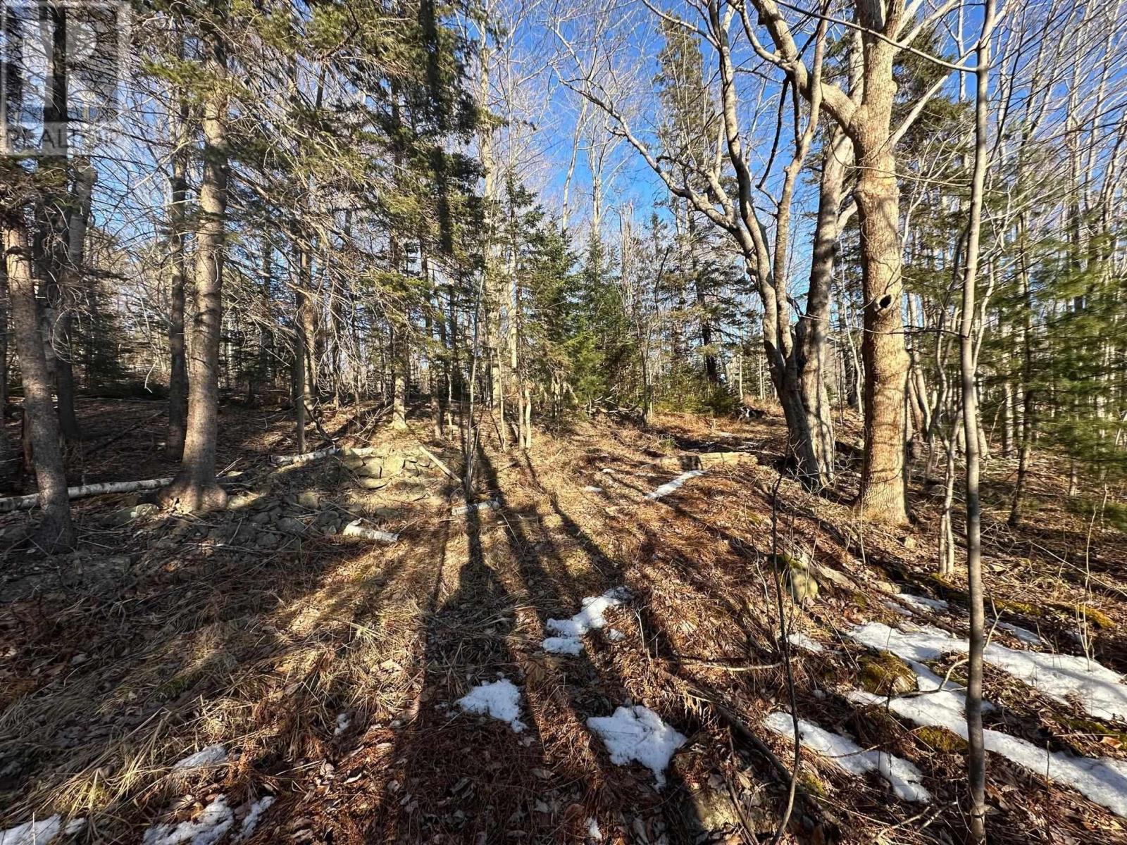 (Unit 1) 130 Everlina Lane, Windsor Junction, Nova Scotia  B2T 0T3 - Photo 9 - 202504041