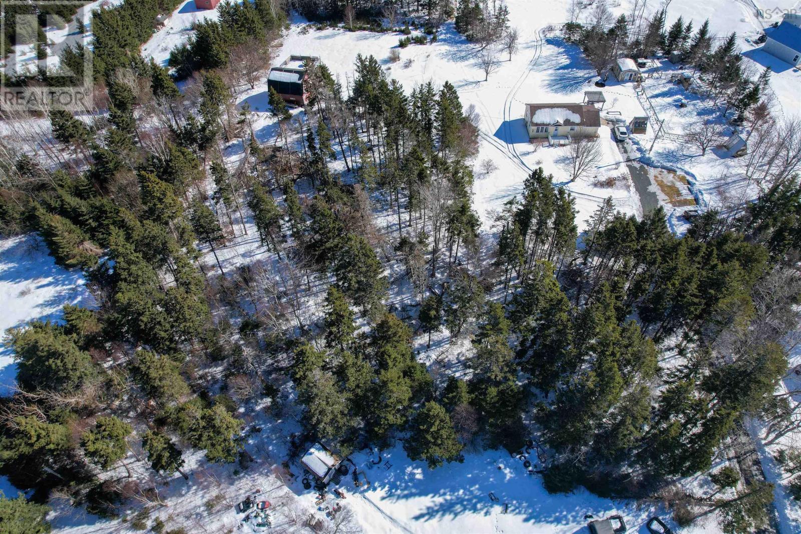 Polar Bear Lane, South Bar, Nova Scotia  B1N 3J2 - Photo 4 - 202504075