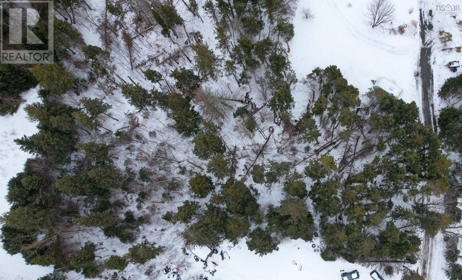 Polar Bear Lane, South Bar, Nova Scotia  B1N 3J2 - Photo 5 - 202504075