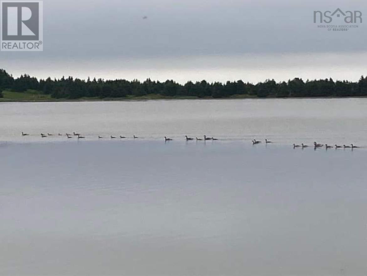 899 Westside Grand River Road, Grand River, Nova Scotia  B0E 1M0 - Photo 23 - 202504107