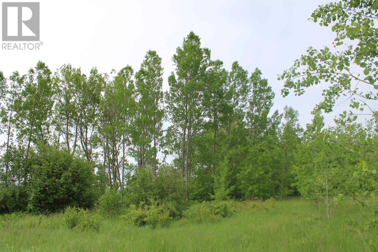 Granville Road, Karsdale, Nova Scotia  B0S 1A0 - Photo 12 - 202504915