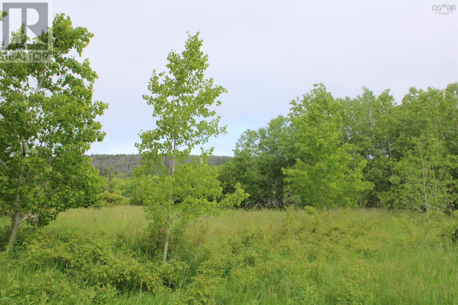 Granville Road, Karsdale, Nova Scotia  B0S 1A0 - Photo 14 - 202504915