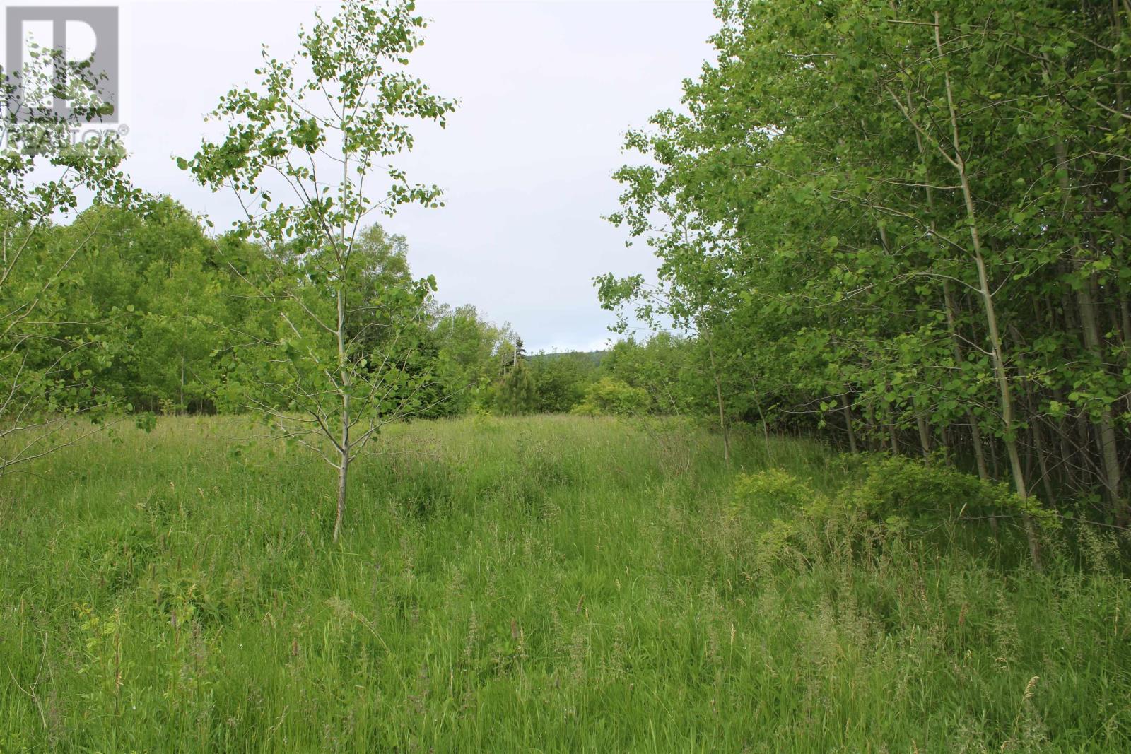 Granville Road, Karsdale, Nova Scotia  B0S 1A0 - Photo 15 - 202504915