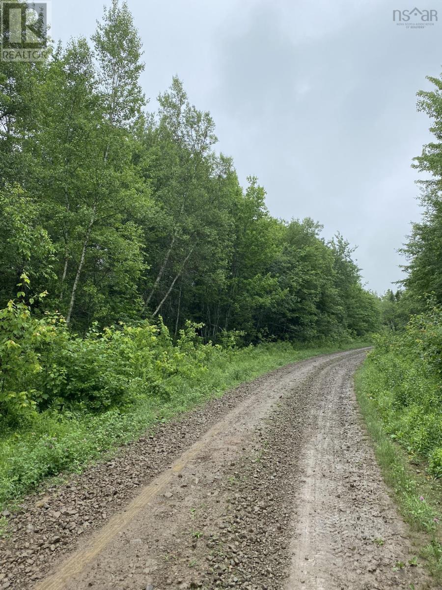 Old Halifax Road, Salt Springs, Nova Scotia  B0M 1X0 - Photo 2 - 202504931