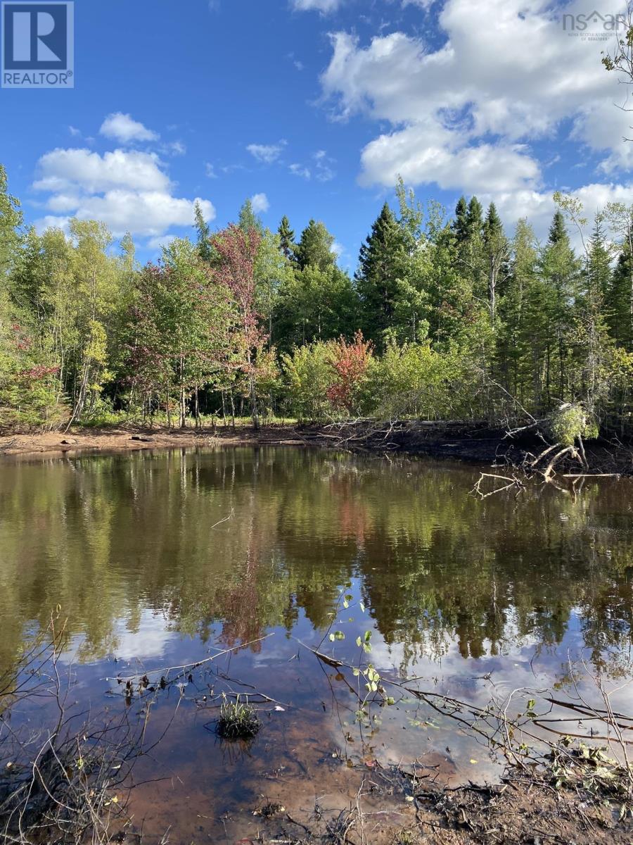 Old Halifax Road, Salt Springs, Nova Scotia  B0M 1X0 - Photo 8 - 202504931