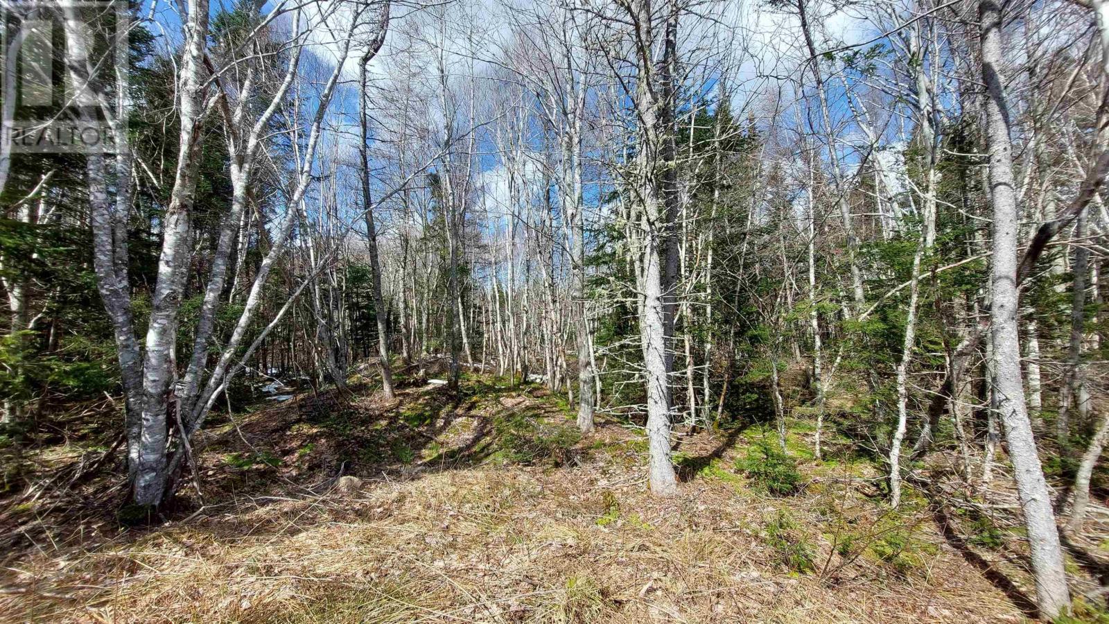 Lot 4 Beaver Ln., Grantville, Nova Scotia  B0E 1J0 - Photo 11 - 202504946