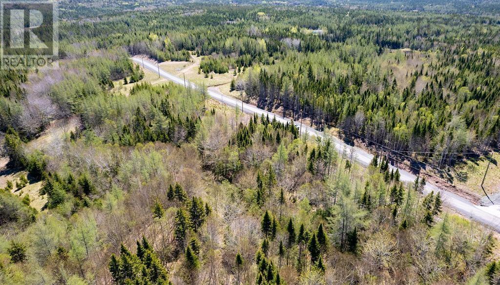 Lot 4 Beaver Ln., Grantville, Nova Scotia  B0E 1J0 - Photo 5 - 202504946