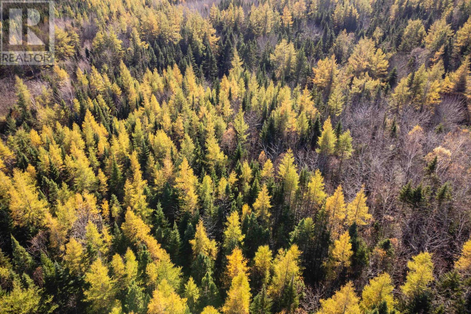 Lot 4 Beaver Ln., Grantville, Nova Scotia  B0E 1J0 - Photo 7 - 202504946