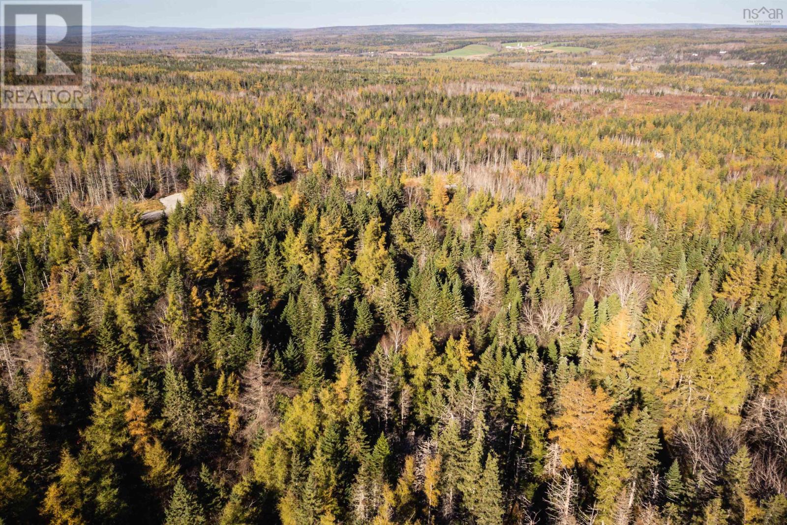 Lot 4 Beaver Ln., Grantville, Nova Scotia  B0E 1J0 - Photo 8 - 202504946