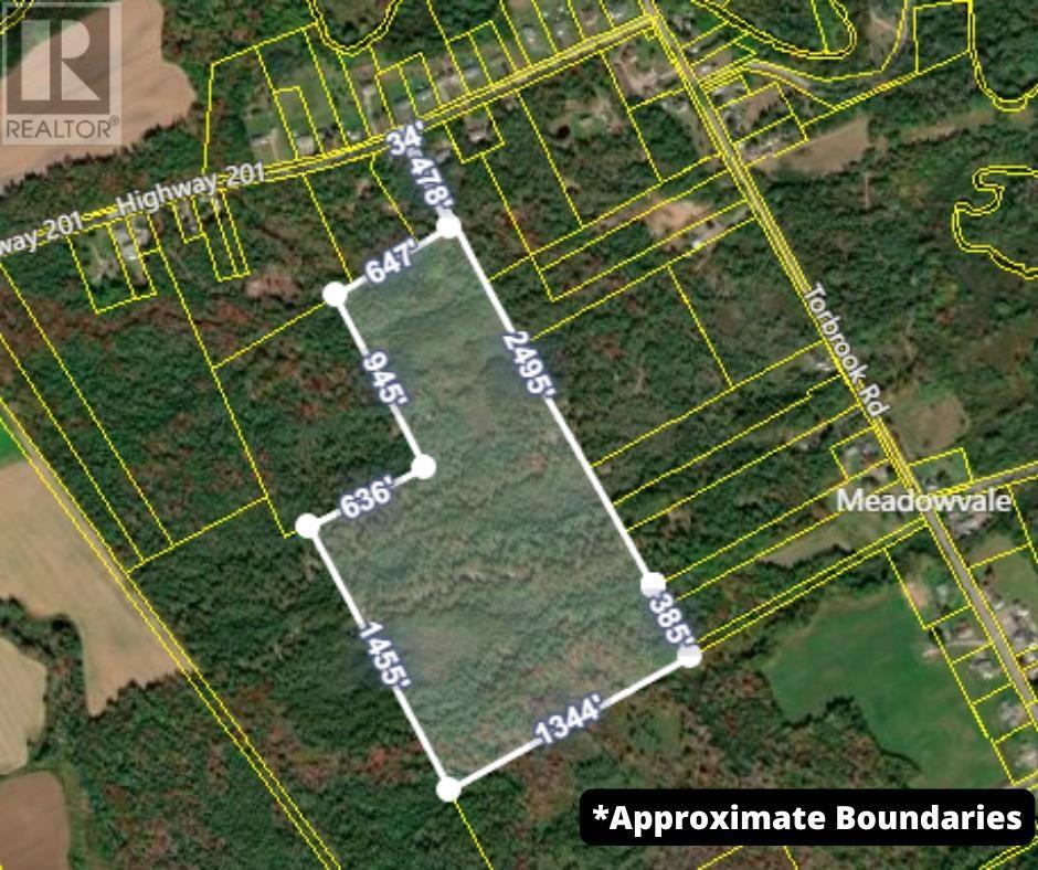 Highway 201, South Farmington, Nova Scotia  B0P 1W0 - Photo 3 - 202505010