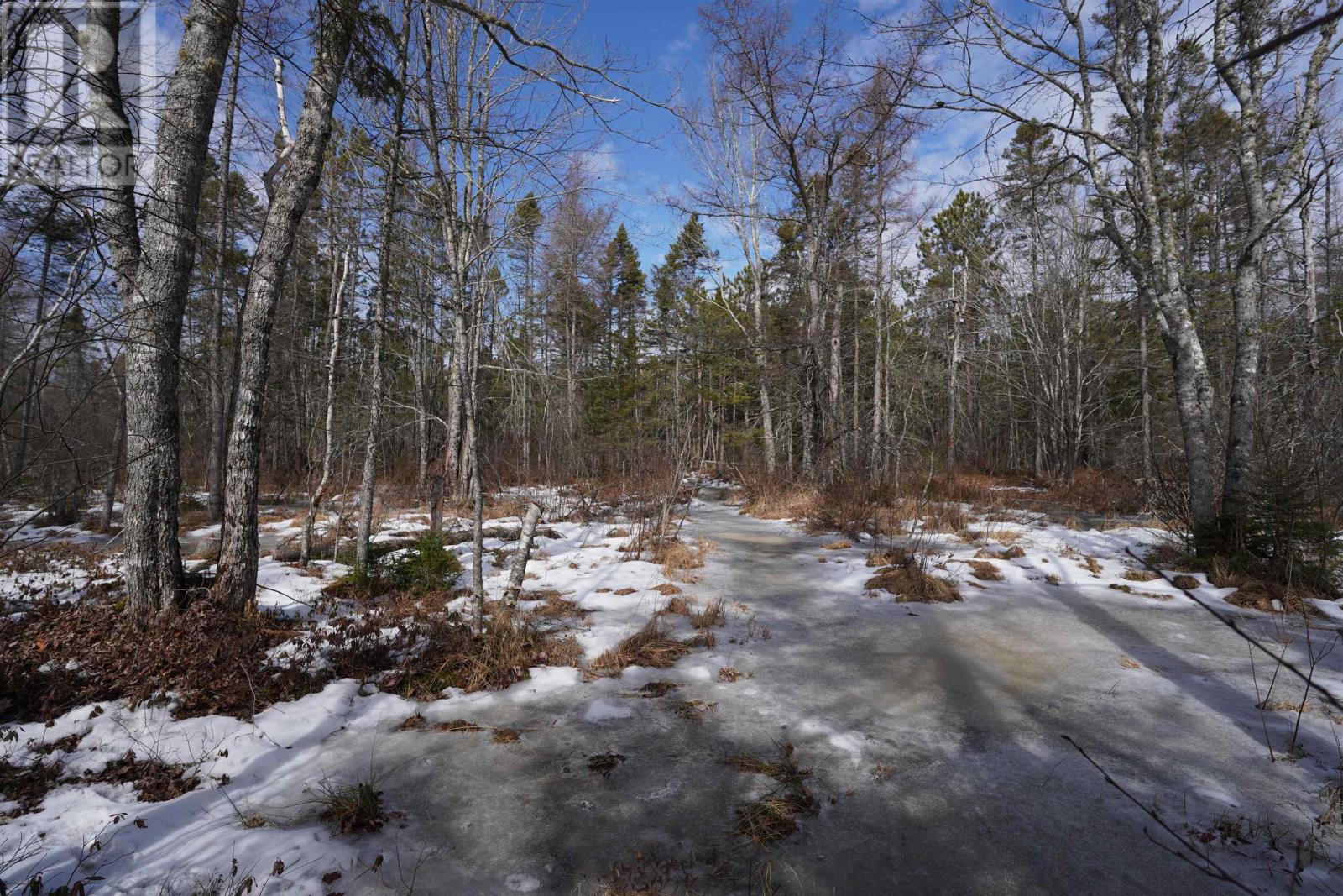 Highway 201, South Farmington, Nova Scotia  B0P 1W0 - Photo 4 - 202505010