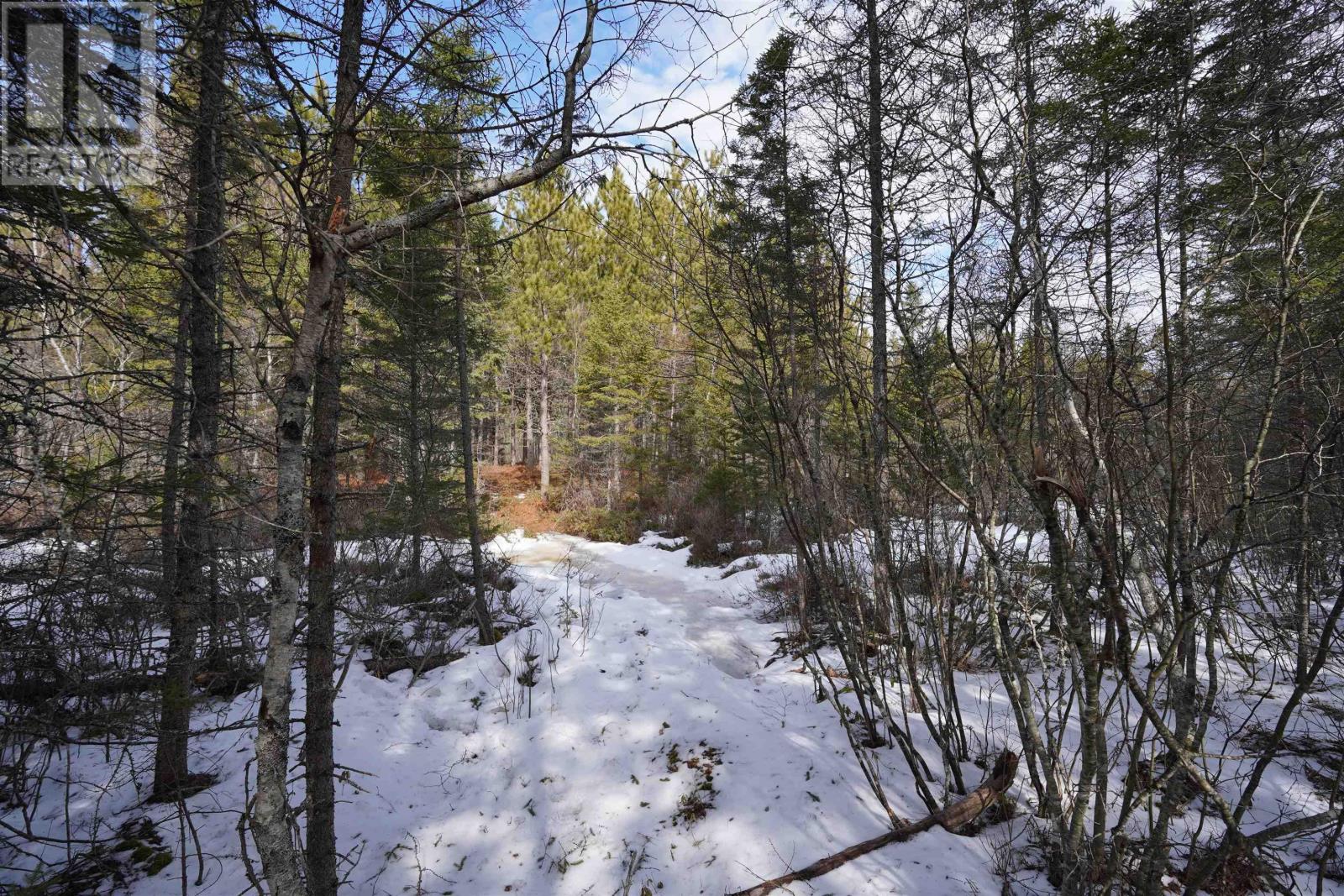 Highway 201, South Farmington, Nova Scotia  B0P 1W0 - Photo 7 - 202505010
