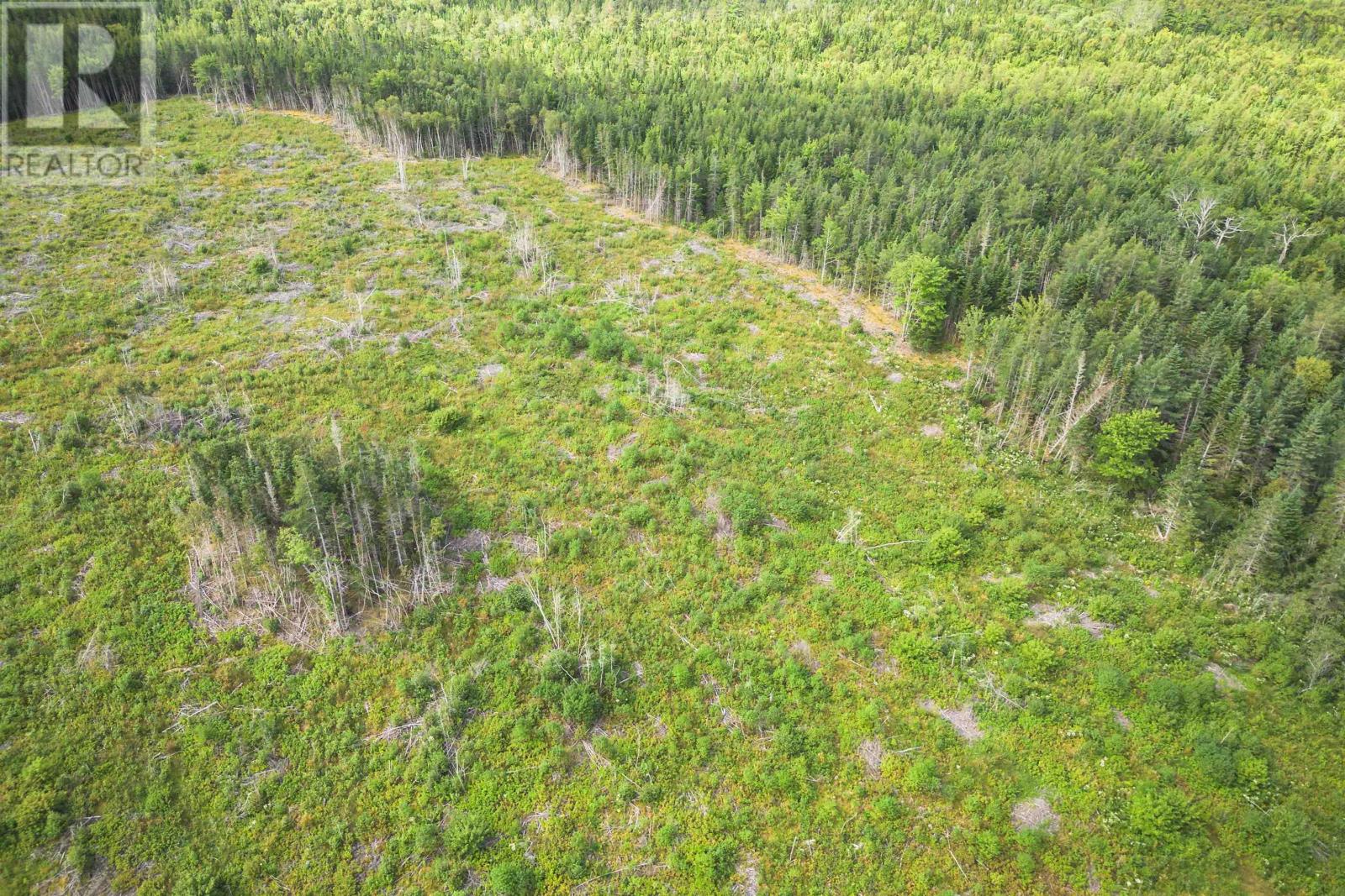 81 Balmoral Road, Grande Anse, Nova Scotia  B0E 1V0 - Photo 19 - 202505041