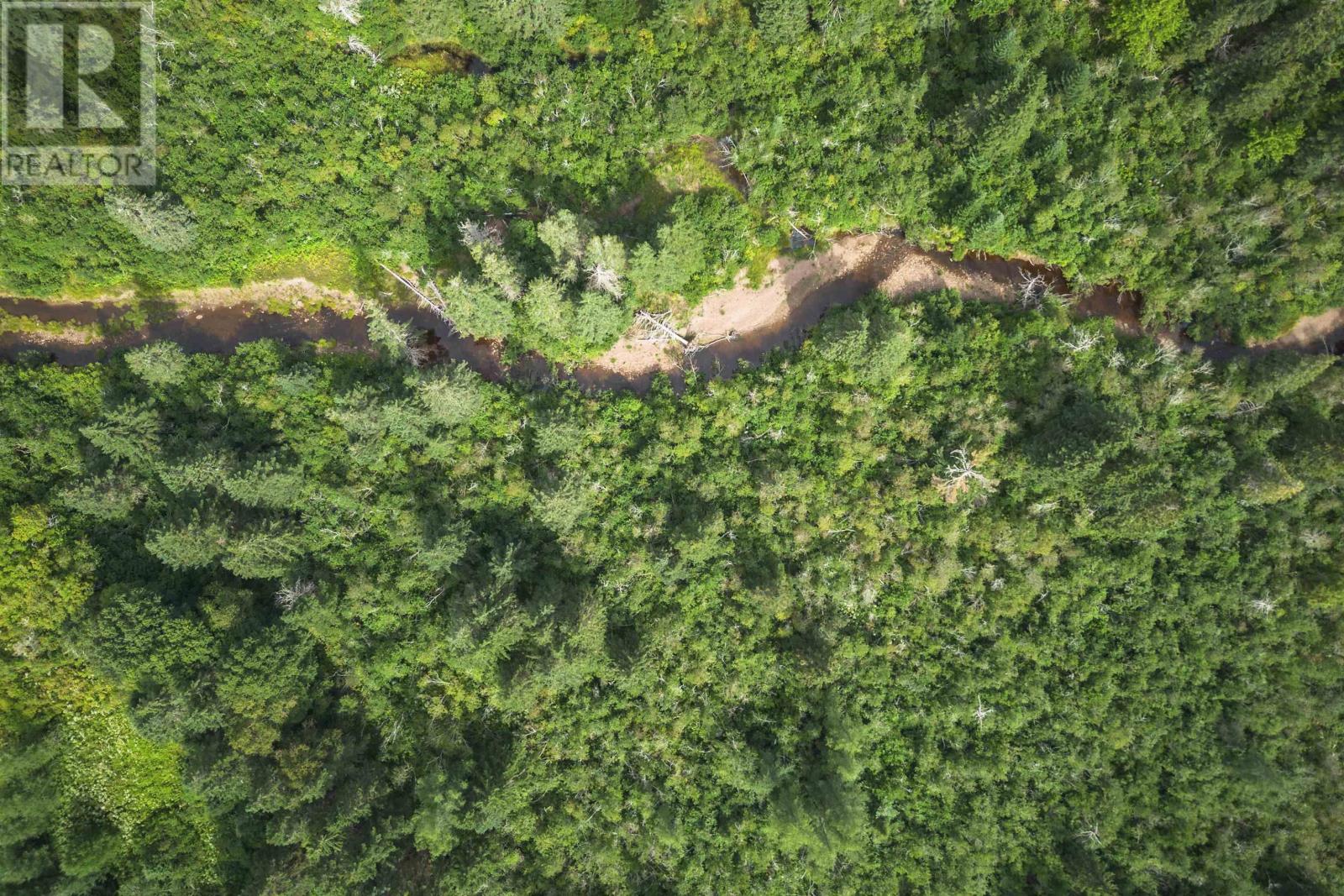 81 Balmoral Road, Grande Anse, Nova Scotia  B0E 1V0 - Photo 5 - 202505041