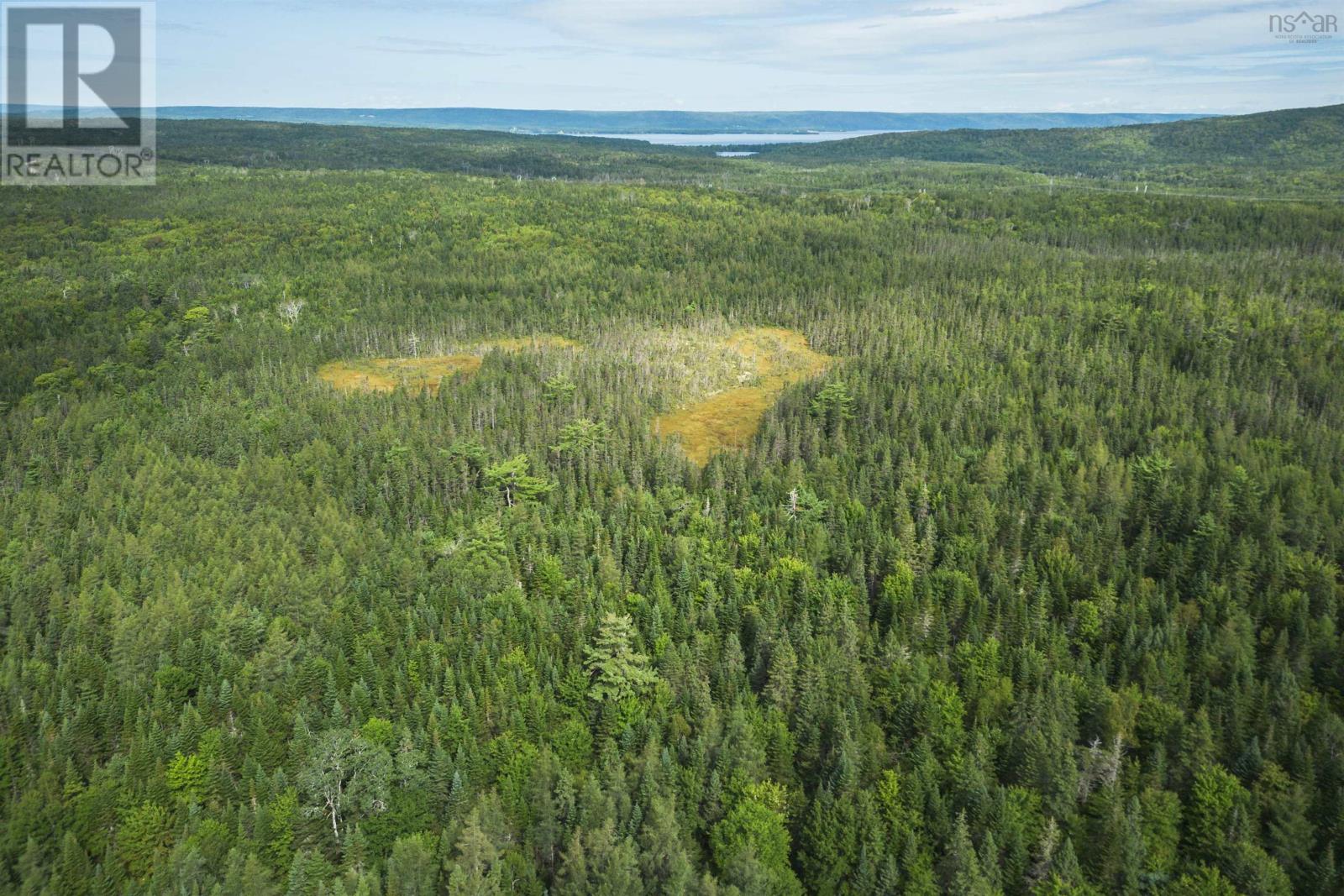 81 Balmoral Road, Grande Anse, Nova Scotia  B0E 1V0 - Photo 7 - 202505041