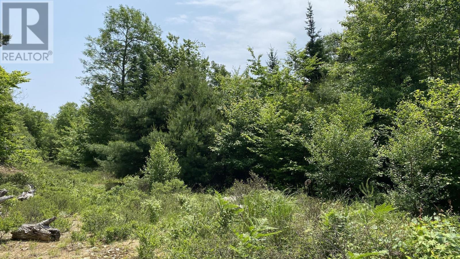 Lot 24 East Clifford Road, Lunenburg, Nova Scotia  B4V 7S4 - Photo 4 - 202505072