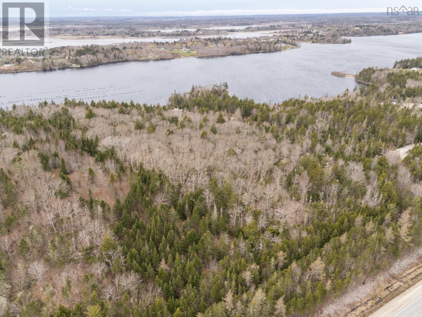 Lot Belleville Road, Belleville, Nova Scotia  B0W 3M0 - Photo 5 - 202505109