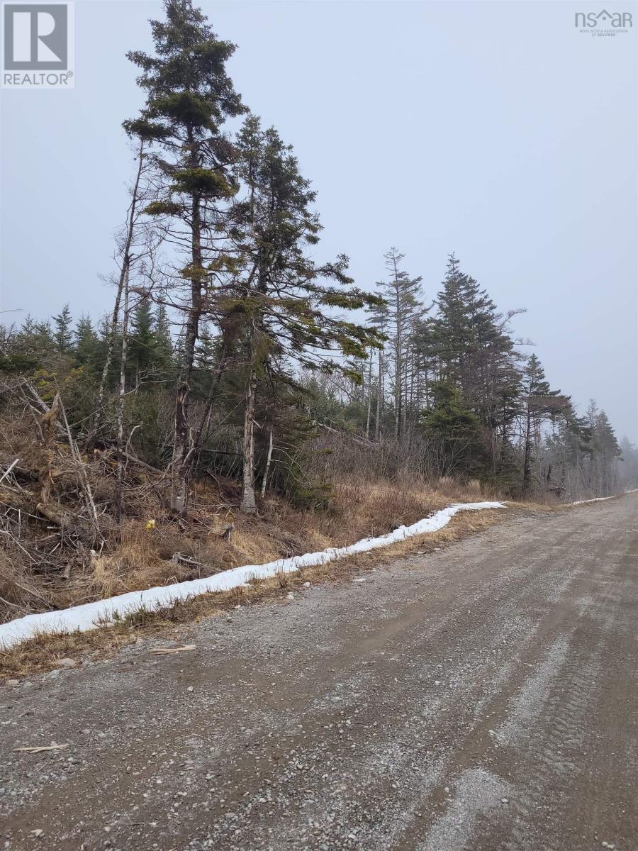 . Louisbourg Bypass, Louisbourg, Nova Scotia  B1C 1R8 - Photo 9 - 202505574