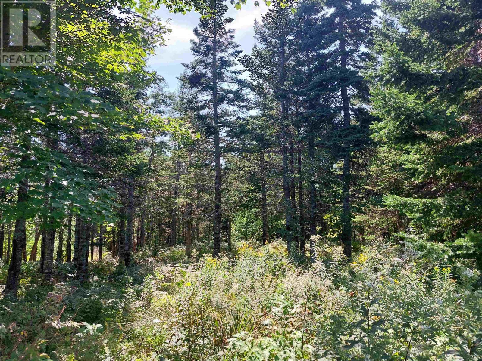 Lot 9 West Bay Hwy, French Cove, Nova Scotia  B0E 3B0 - Photo 4 - 202505593