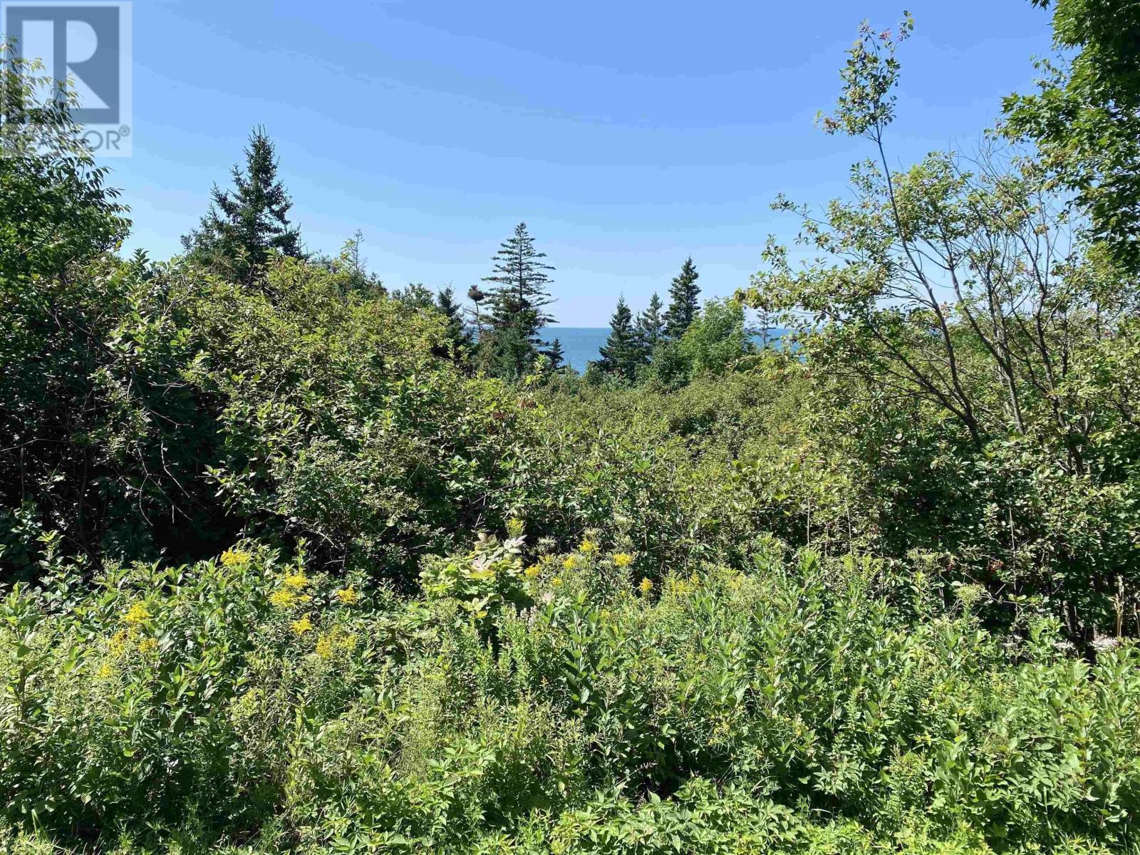 Lot 1 Granville Road, Victoria Beach, Nova Scotia  B0S 1A0 - Photo 11 - 202505613