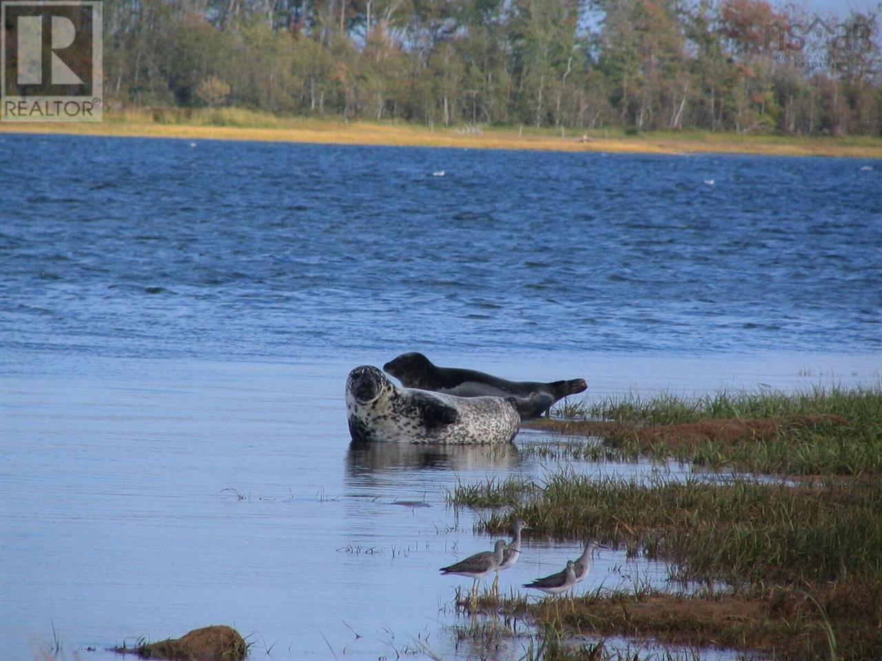 Lot 34 Seastone Drive, Port Howe, Nova Scotia  B0K 1K0 - Photo 4 - 202505757