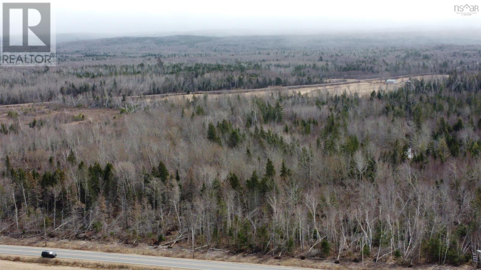 Lot 1-0 Scotsburn Road, West Branch, Nova Scotia  B0K 1R0 - Photo 19 - 202505767