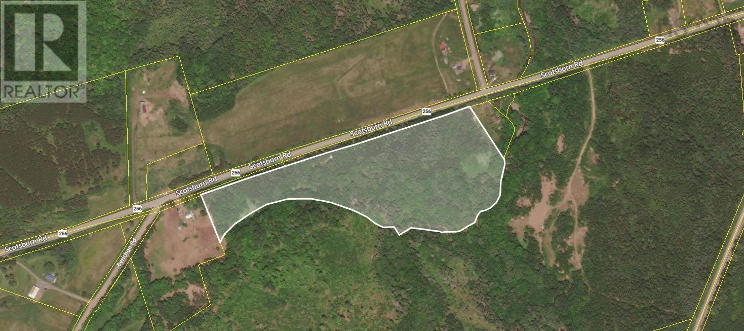 Lot 1-0 Scotsburn Road, West Branch, Nova Scotia  B0K 1R0 - Photo 2 - 202505767