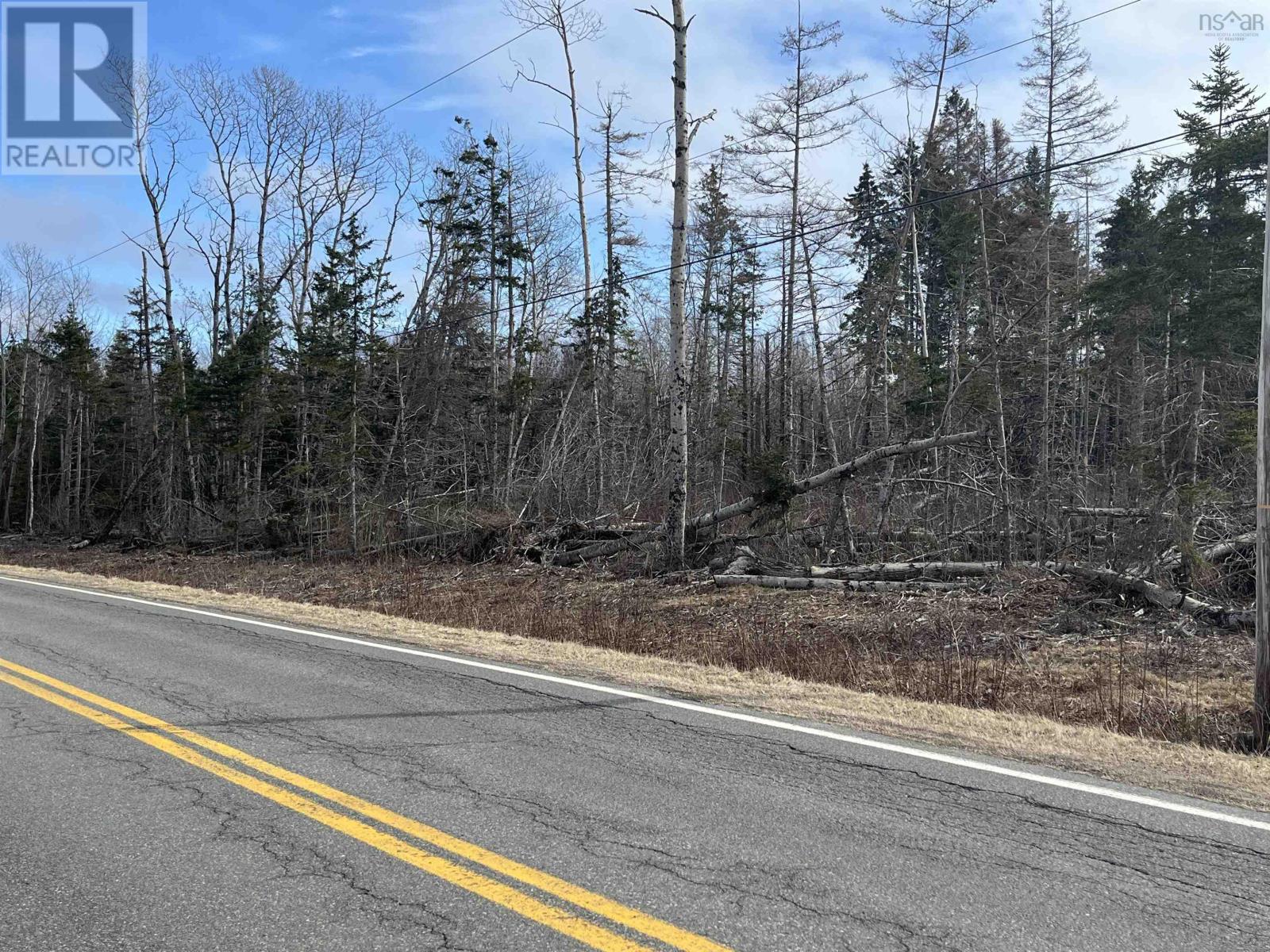 Lot 1-0 Scotsburn Road, West Branch, Nova Scotia  B0K 1R0 - Photo 3 - 202505767