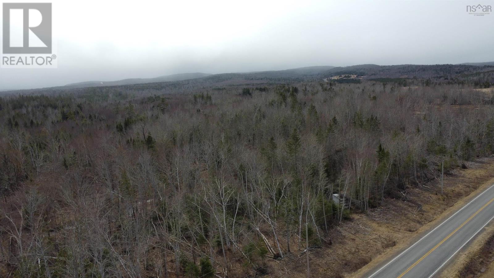 Lot 1-0 Scotsburn Road, West Branch, Nova Scotia  B0K 1R0 - Photo 8 - 202505767