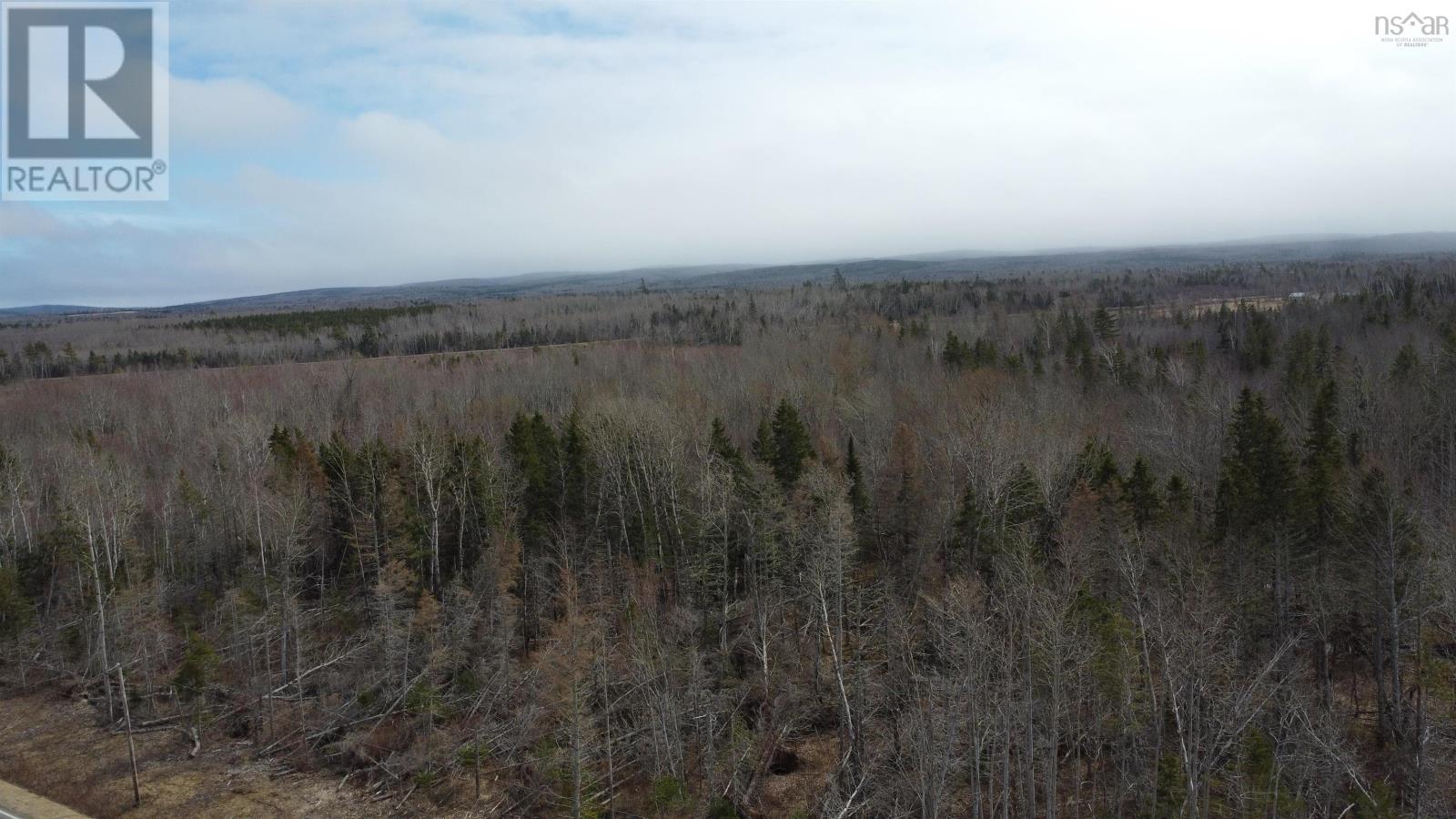 Lot 1-0 Scotsburn Road, West Branch, Nova Scotia  B0K 1R0 - Photo 9 - 202505767
