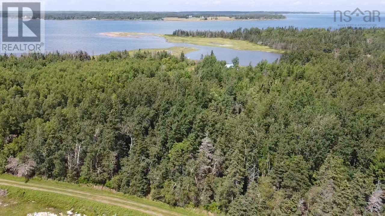 354 Horton Point Road, North Shore, Nova Scotia  B0K 1E0 - Photo 7 - 202506054