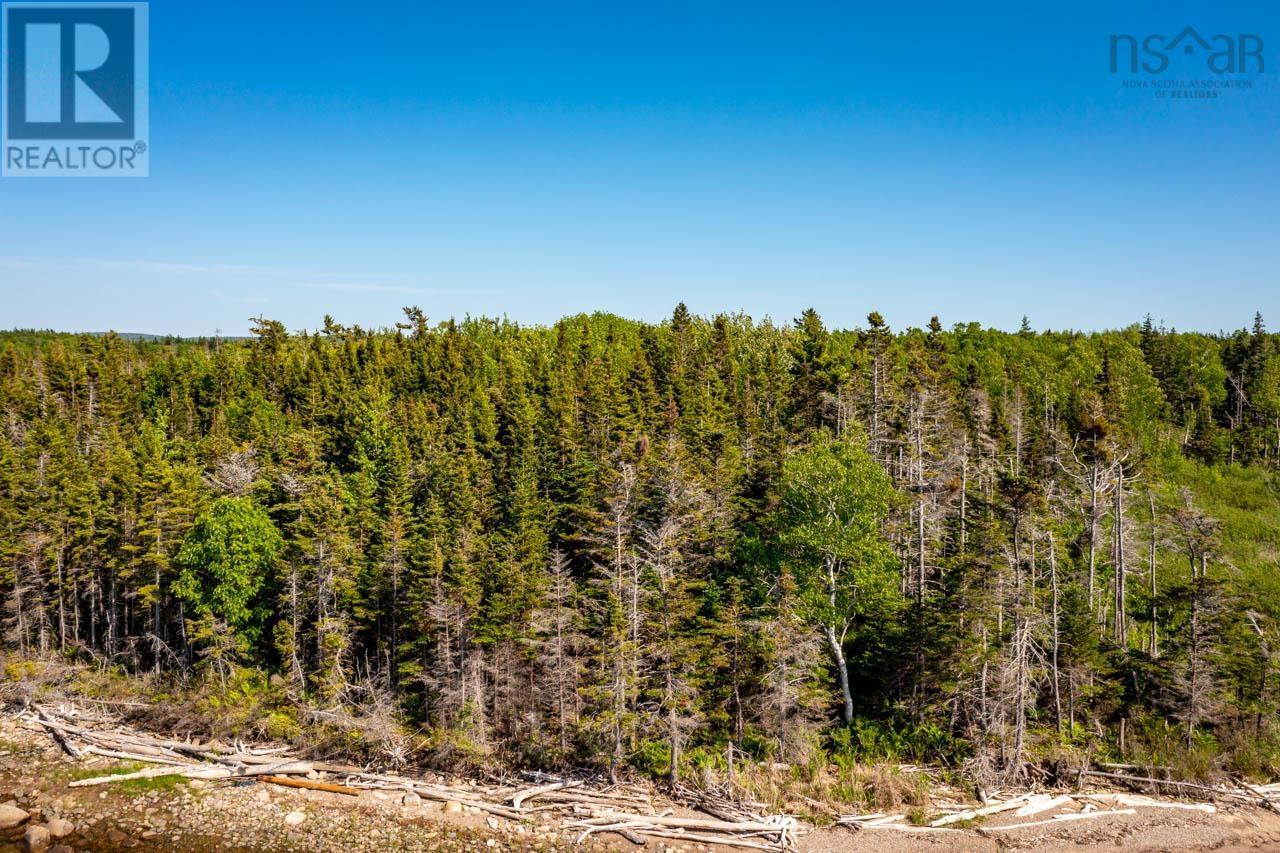 Lot 3 South Cove Road, South Cove, Nova Scotia  B0E 1T0 - Photo 20 - 202506198