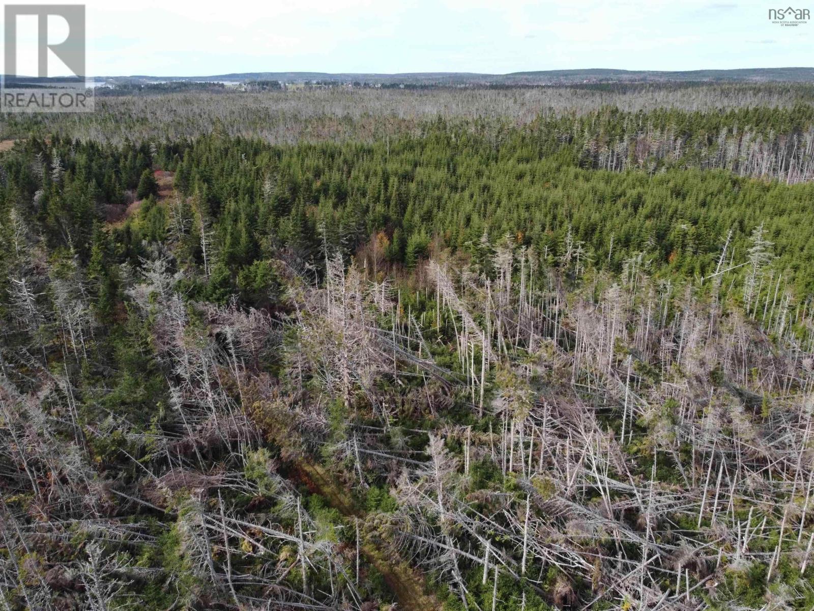 Lot Gammon Road, West Quoddy, Nova Scotia  B0J 2R0 - Photo 7 - 202506246