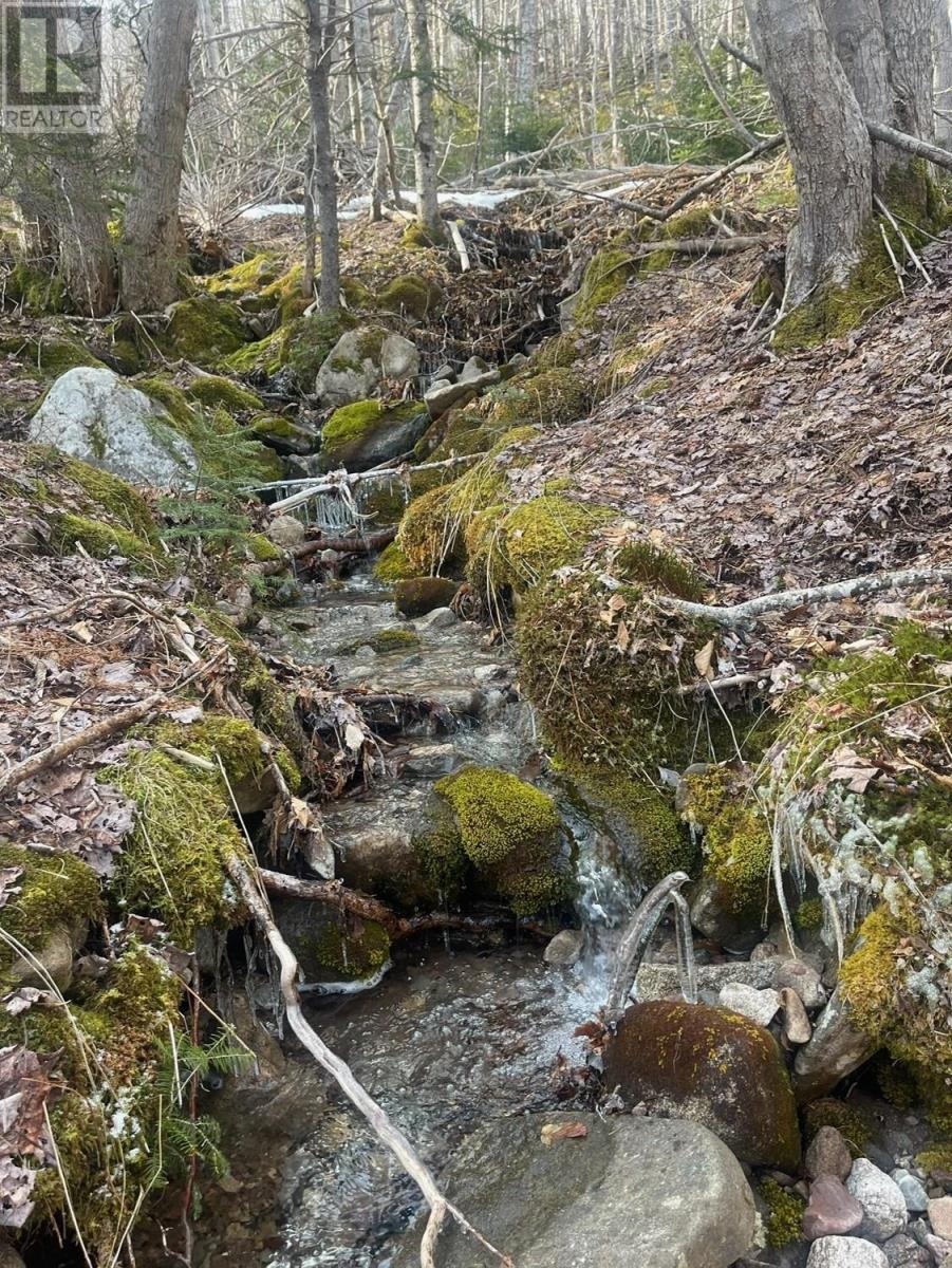 TransCanada 105, bucklaw, Nova Scotia