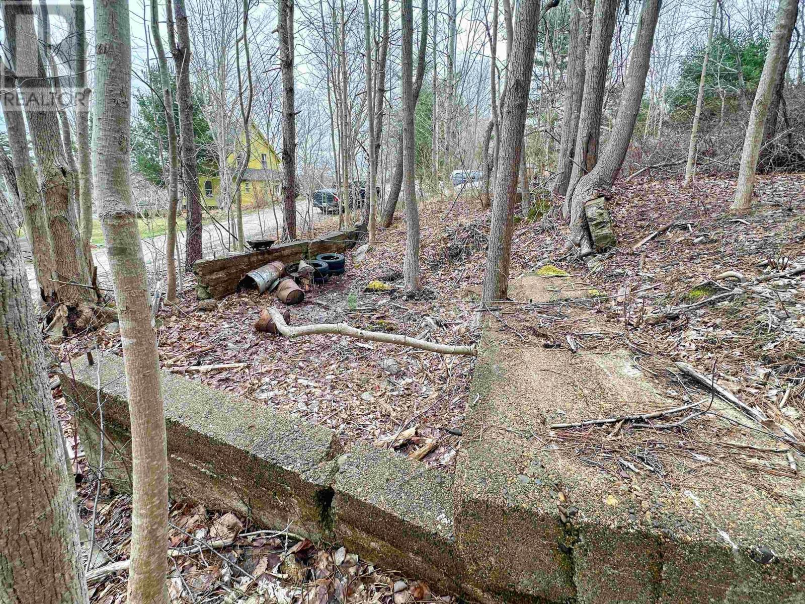 Lot Harlow Road, Conquerall Bank, Nova Scotia  B4V 0H2 - Photo 10 - 202506601